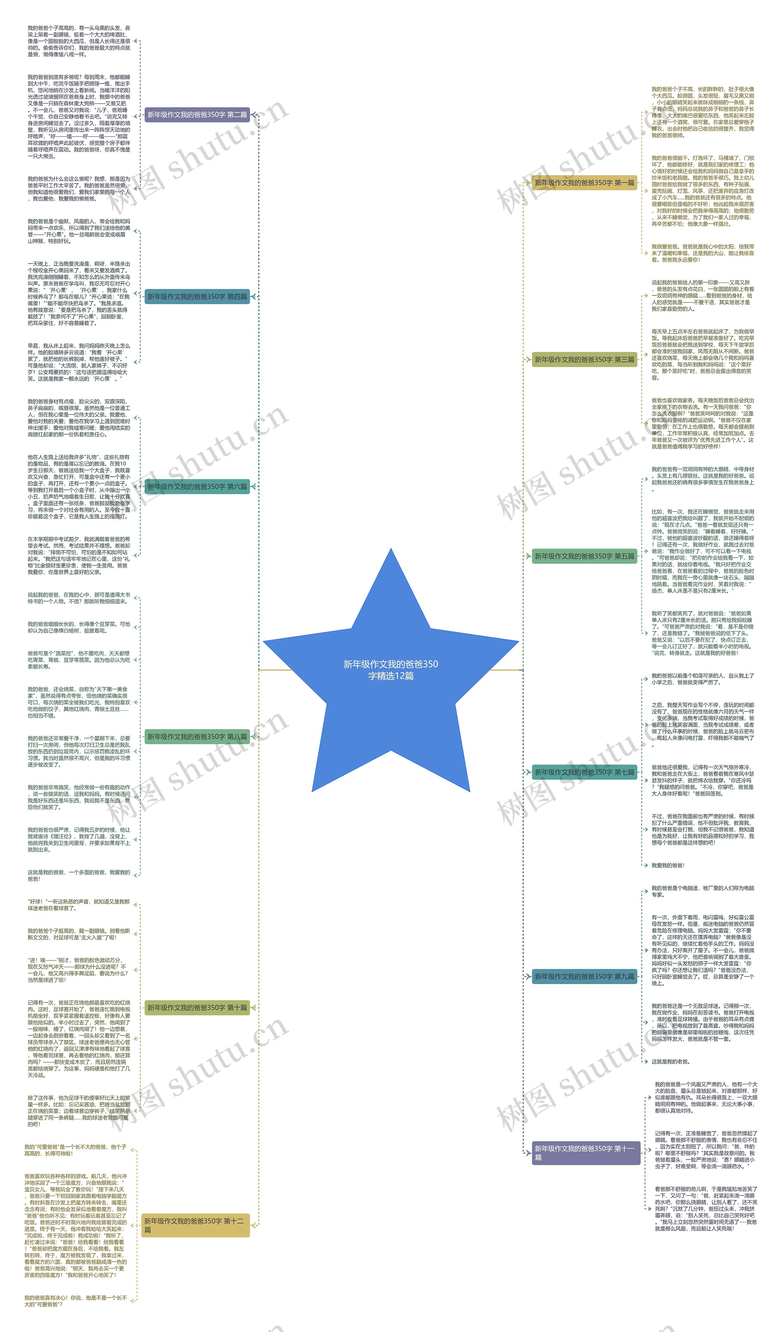 新年级作文我的爸爸350字精选12篇思维导图