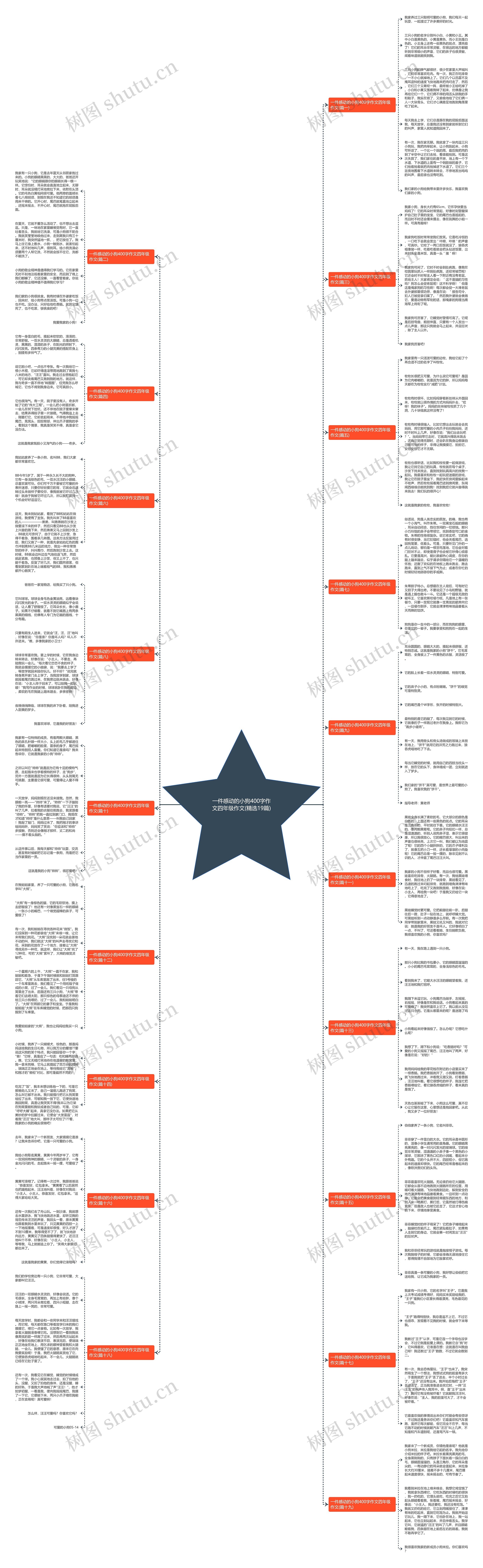 一件感动的小狗400字作文四年级作文(精选19篇)思维导图