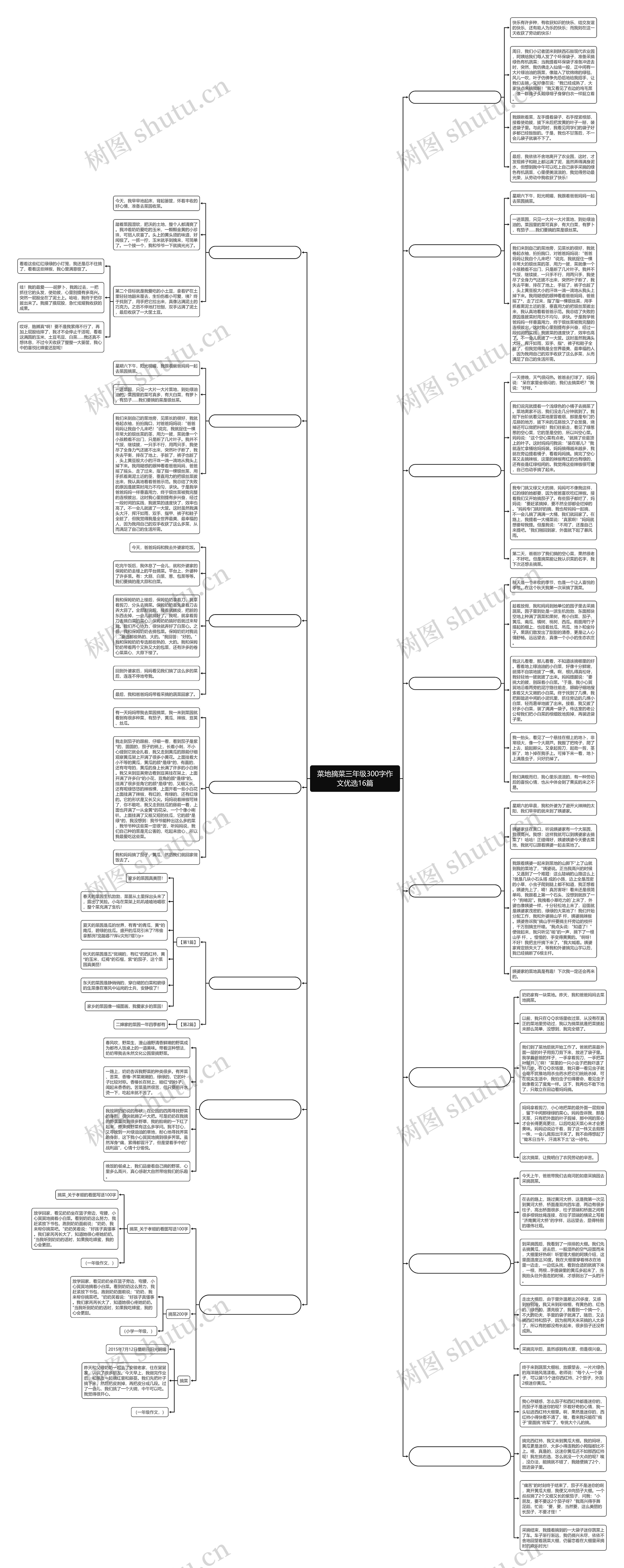 菜地摘菜三年级300字作文优选16篇思维导图