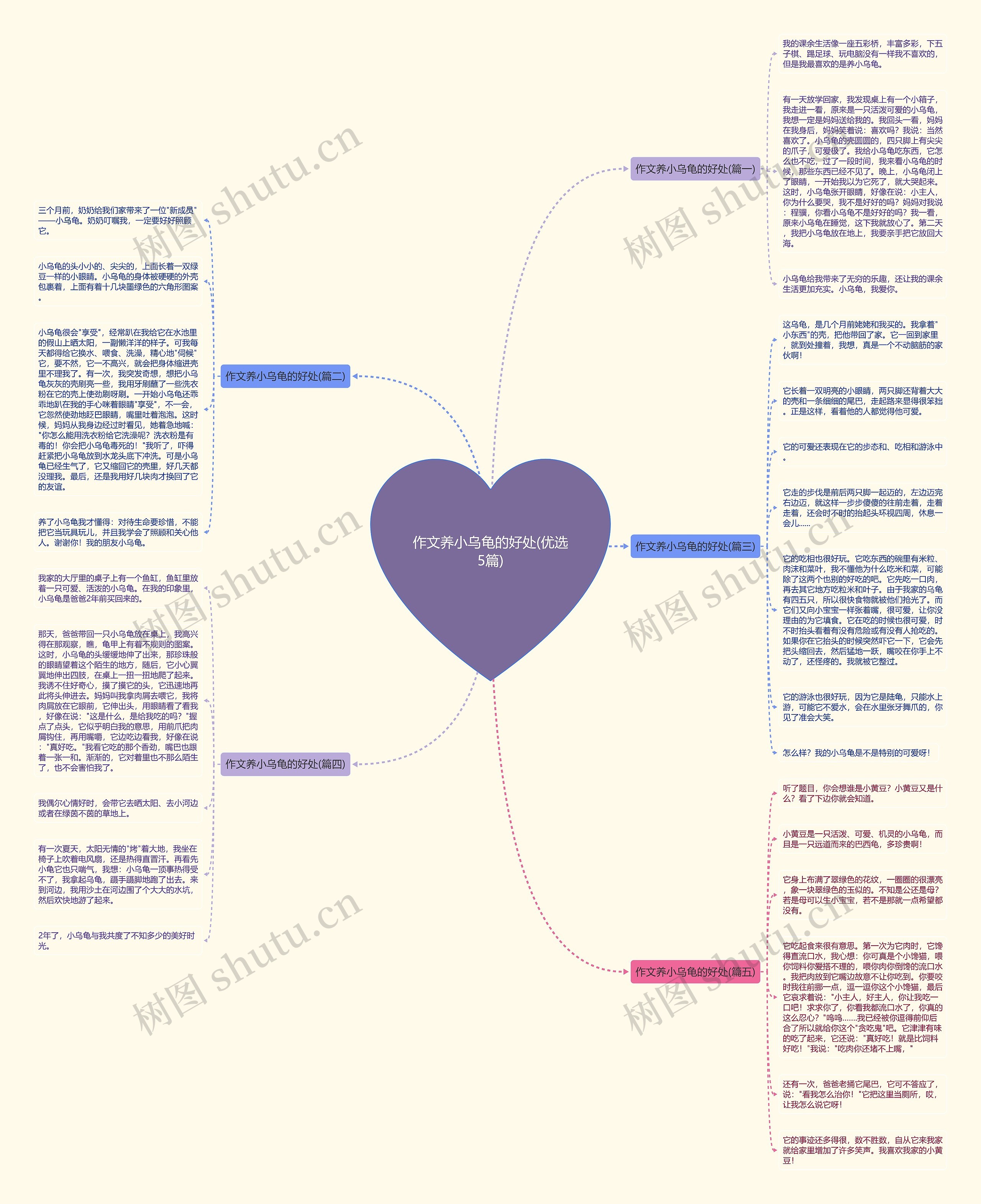 作文养小乌龟的好处(优选5篇)思维导图
