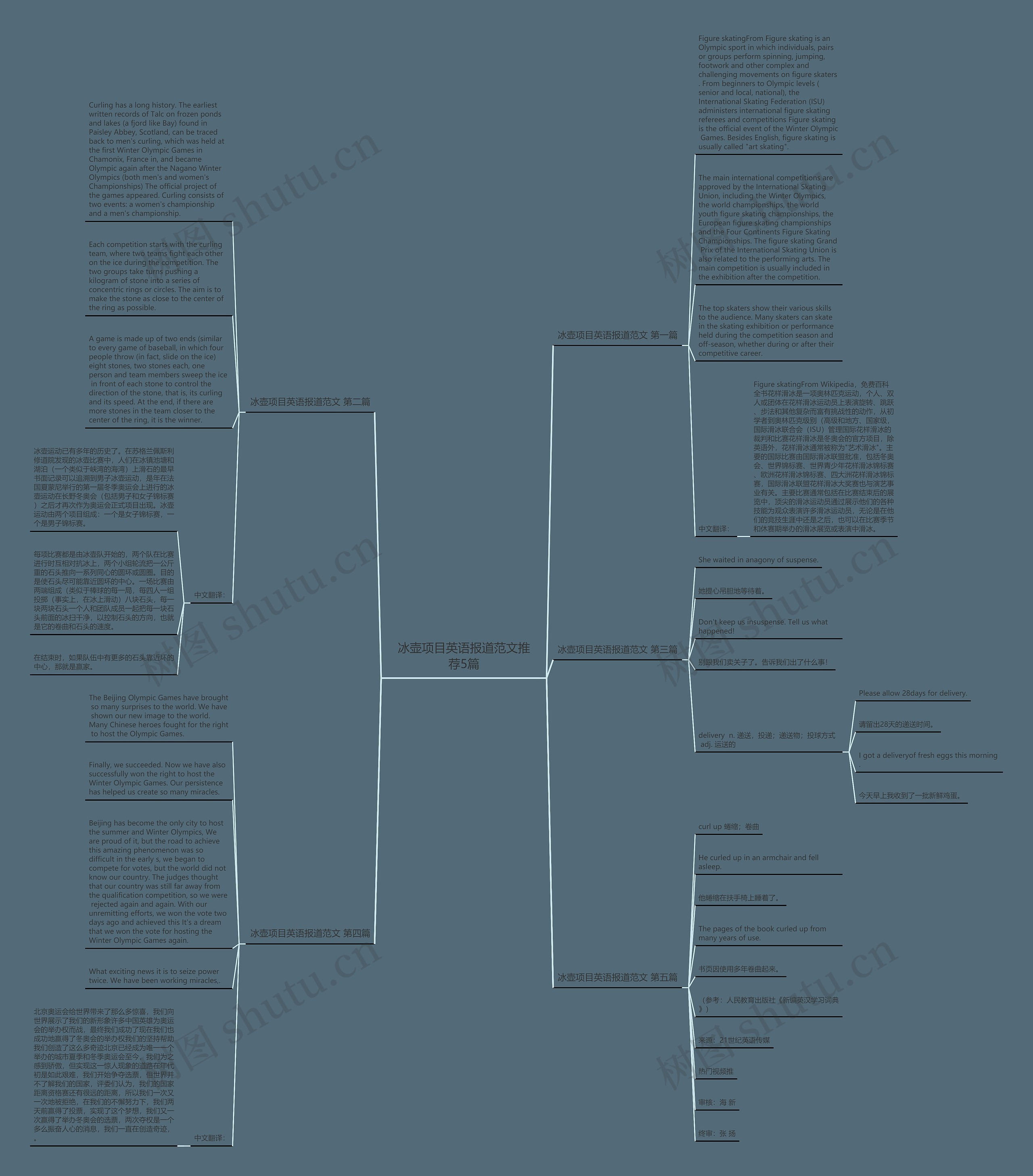 冰壶项目英语报道范文推荐5篇思维导图