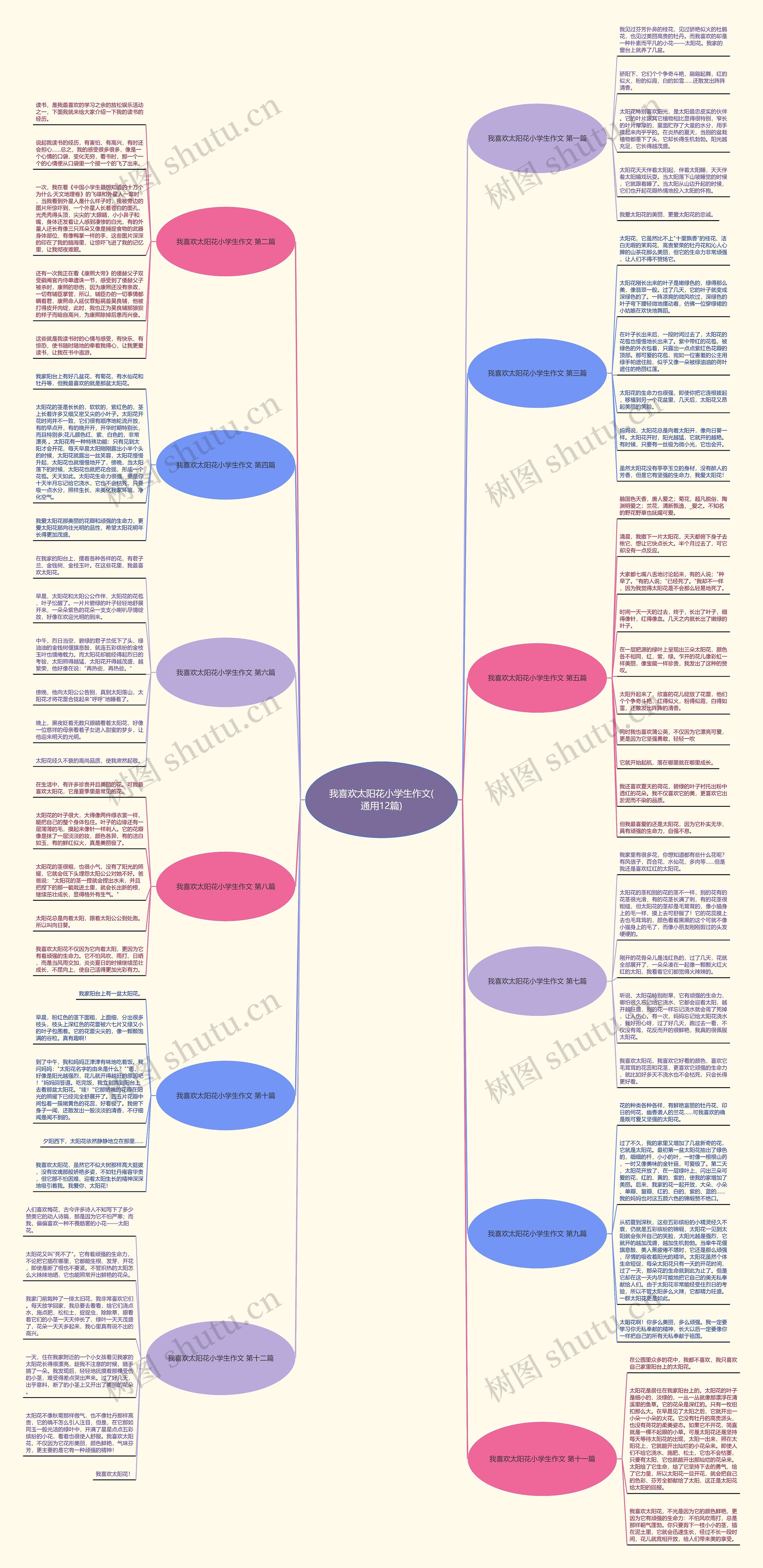 我喜欢太阳花小学生作文(通用12篇)思维导图