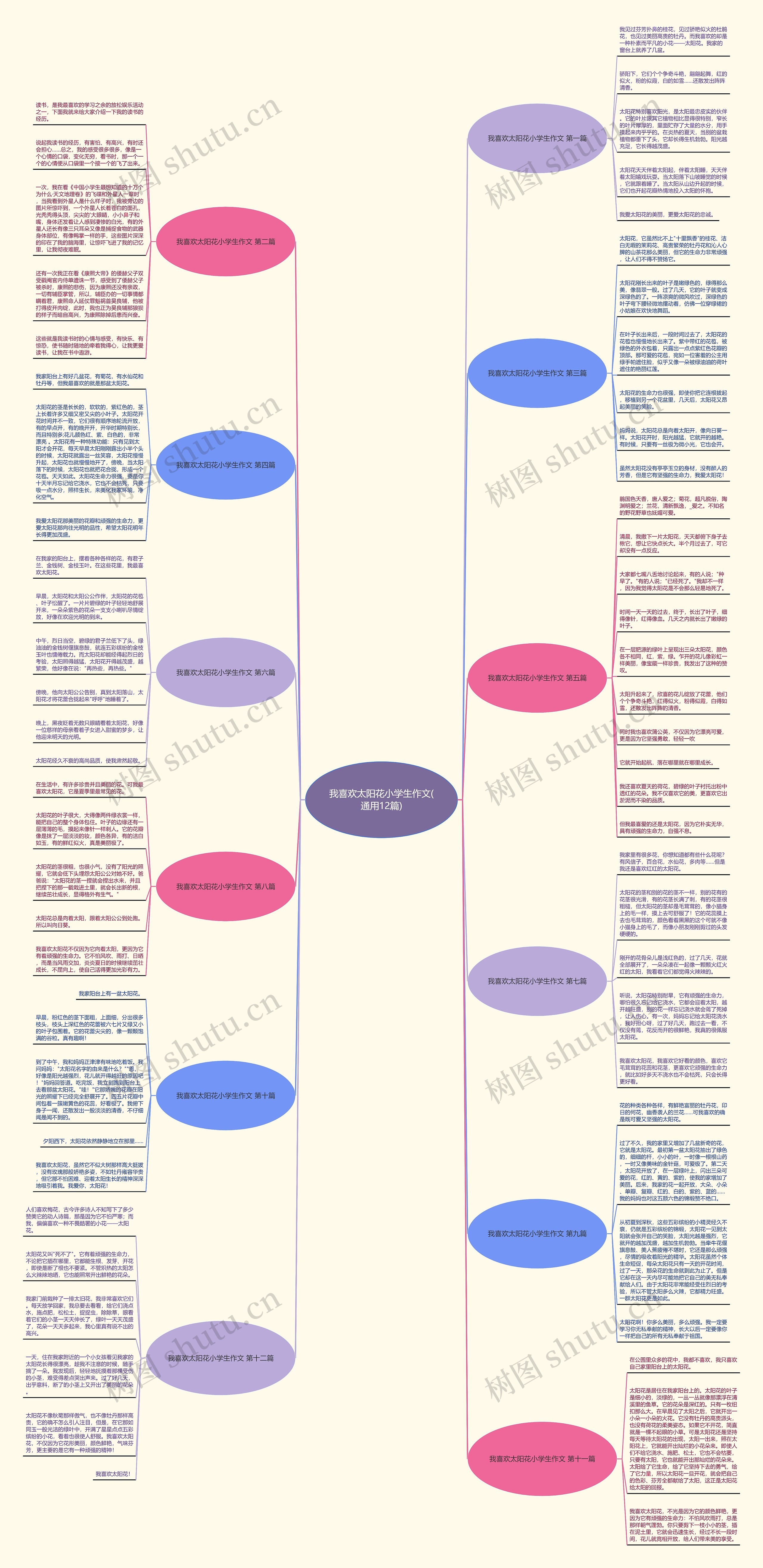 我喜欢太阳花小学生作文(通用12篇) 我喜欢太阳花小学生作文(通用12篇)