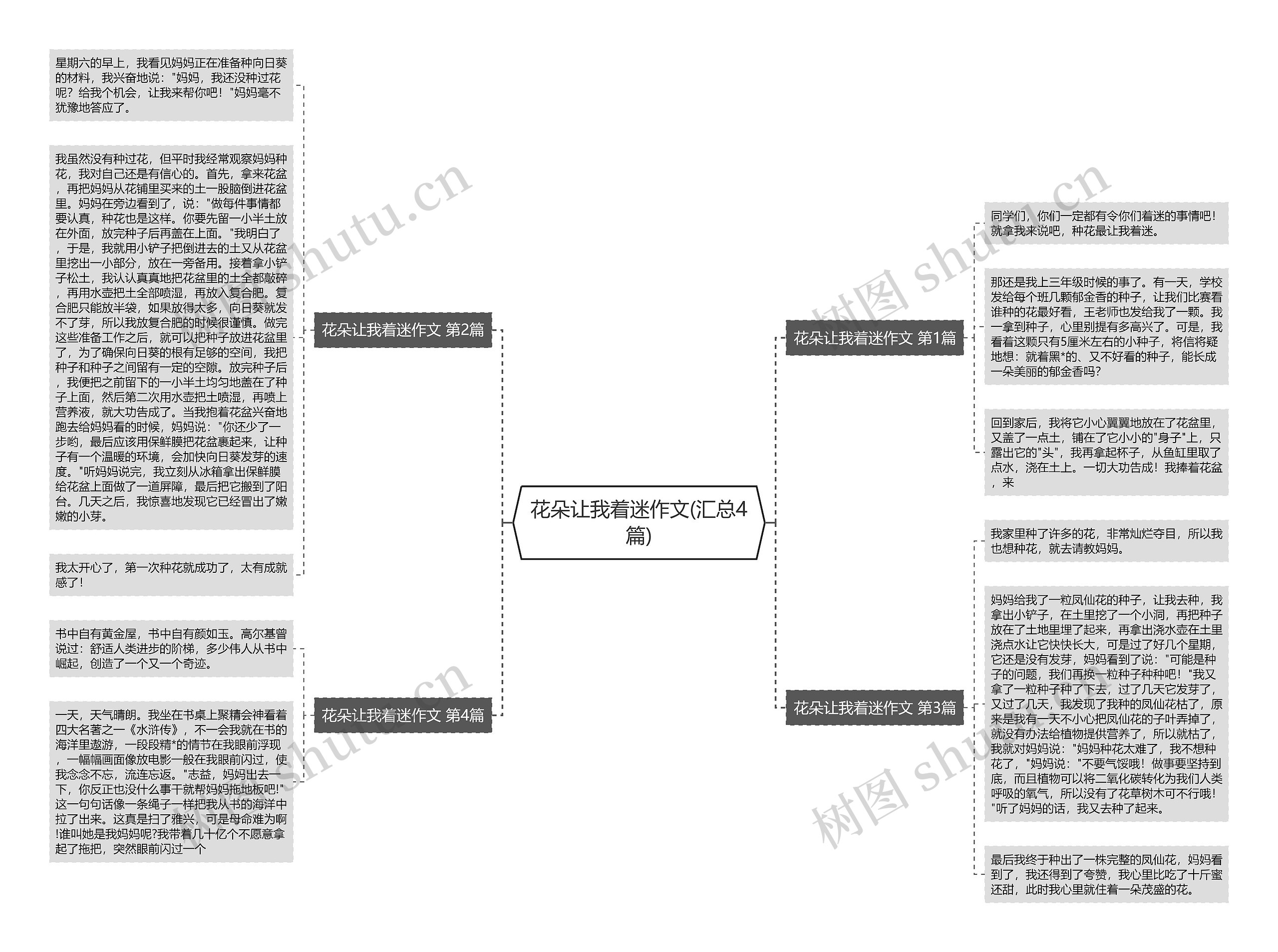 花朵让我着迷作文(汇总4篇)思维导图