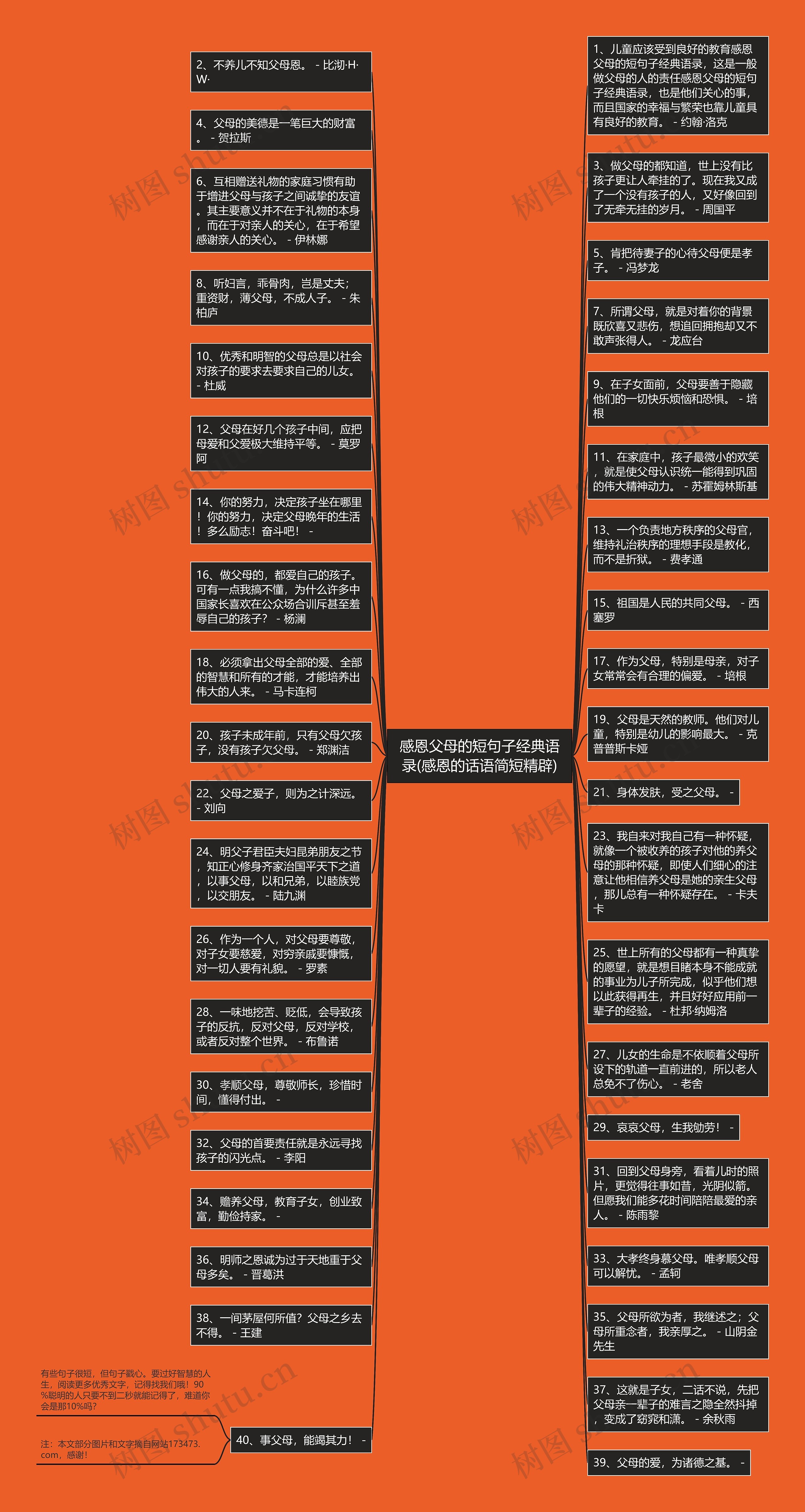 感恩父母的短句子经典语录(感恩的话语简短精辟)