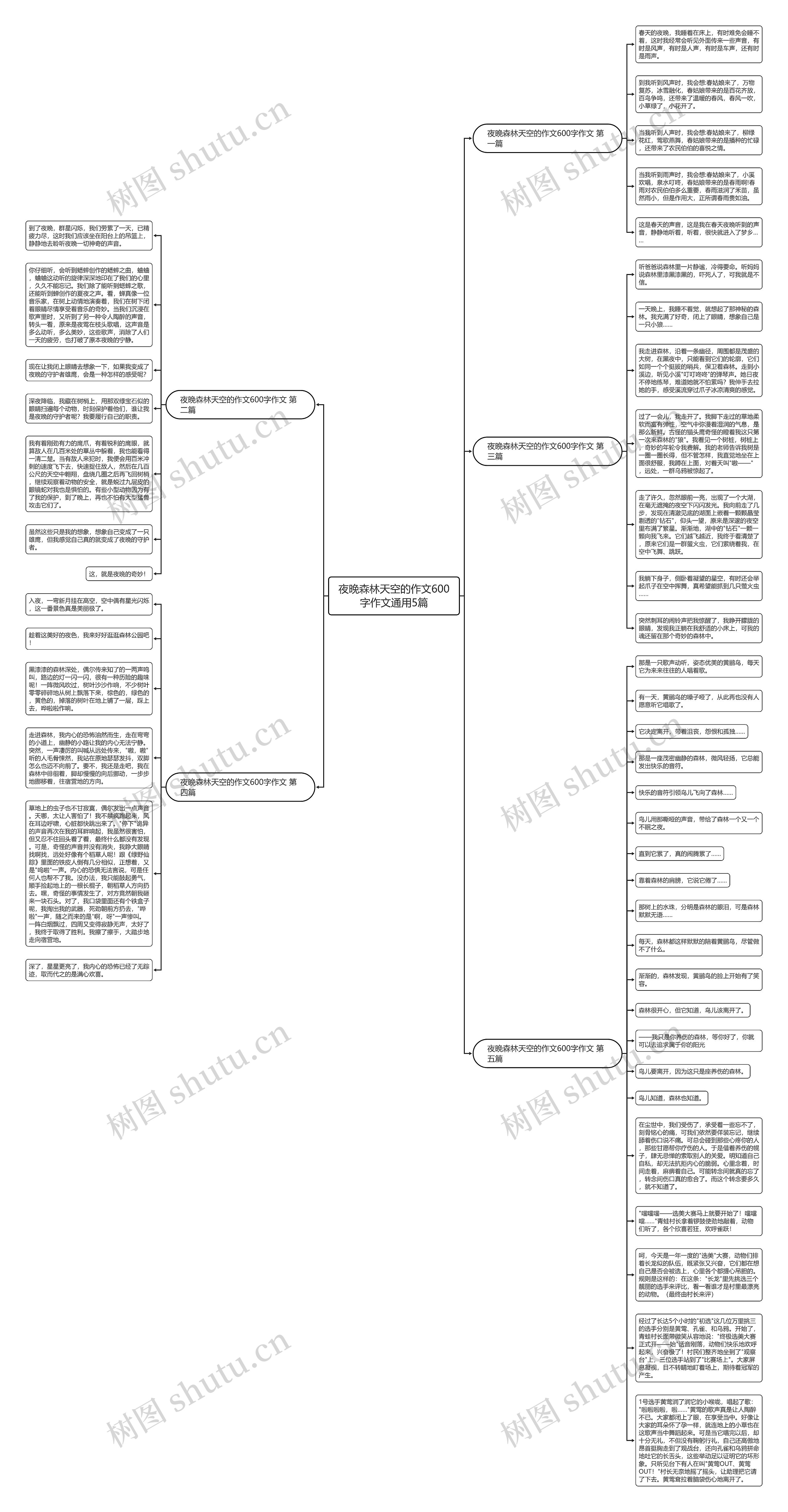 夜晚森林天空的作文600字作文通用5篇