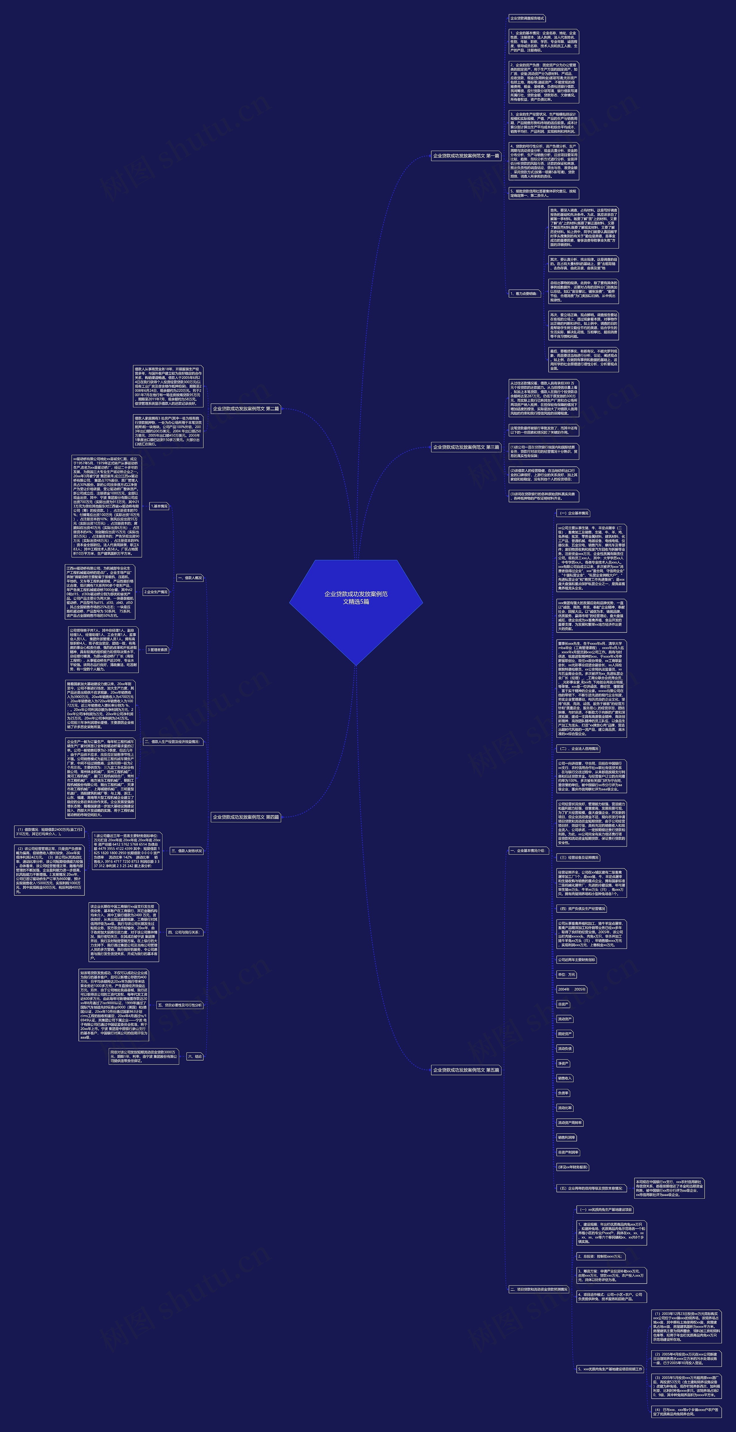 企业贷款成功发放案例范文精选5篇思维导图