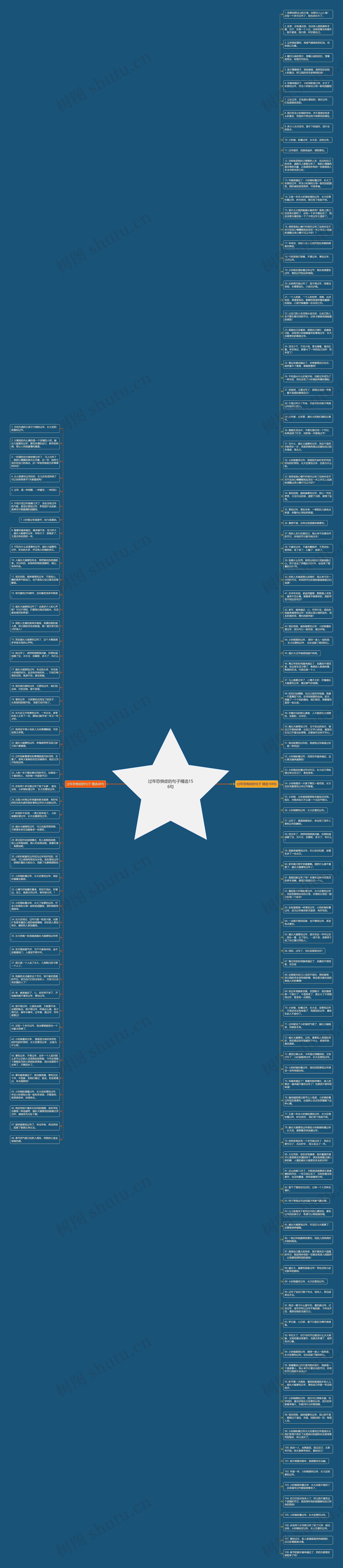 过年恐惧症的句子精选156句思维导图