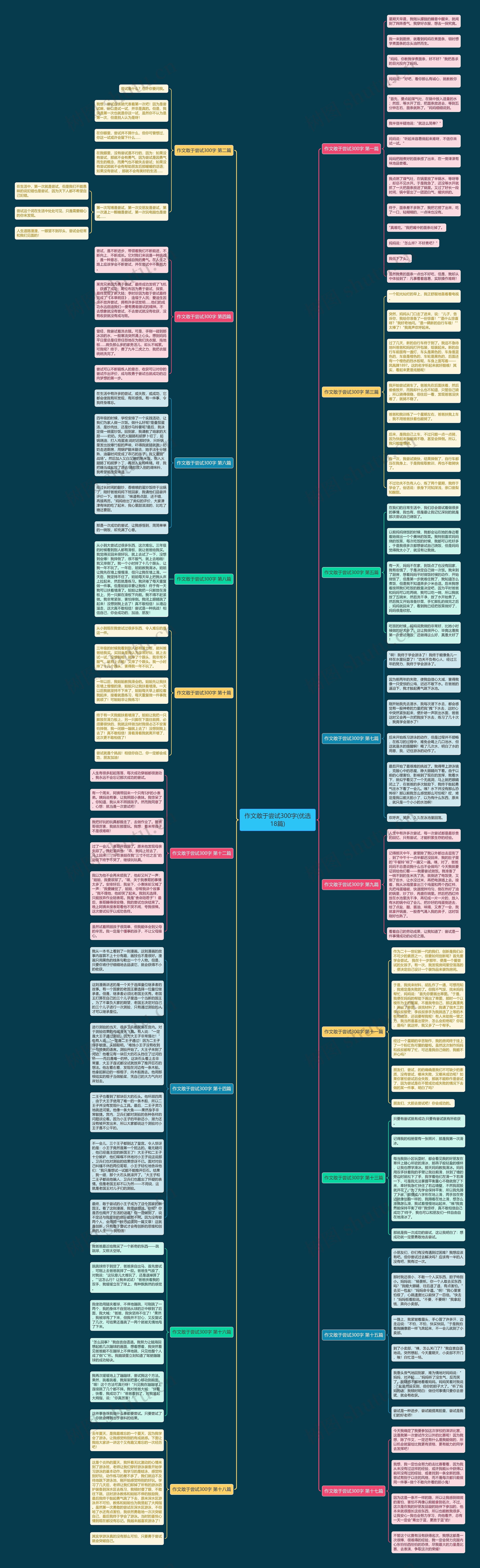 作文敢于尝试300字(优选18篇)思维导图