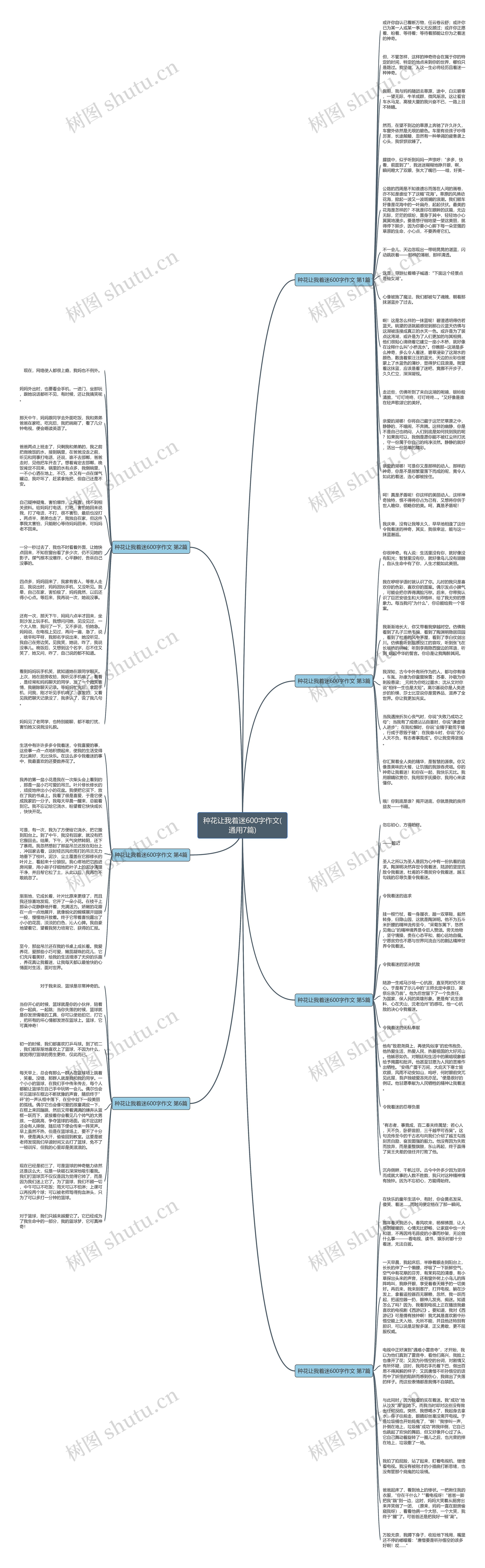 种花让我着迷600字作文(通用7篇)思维导图