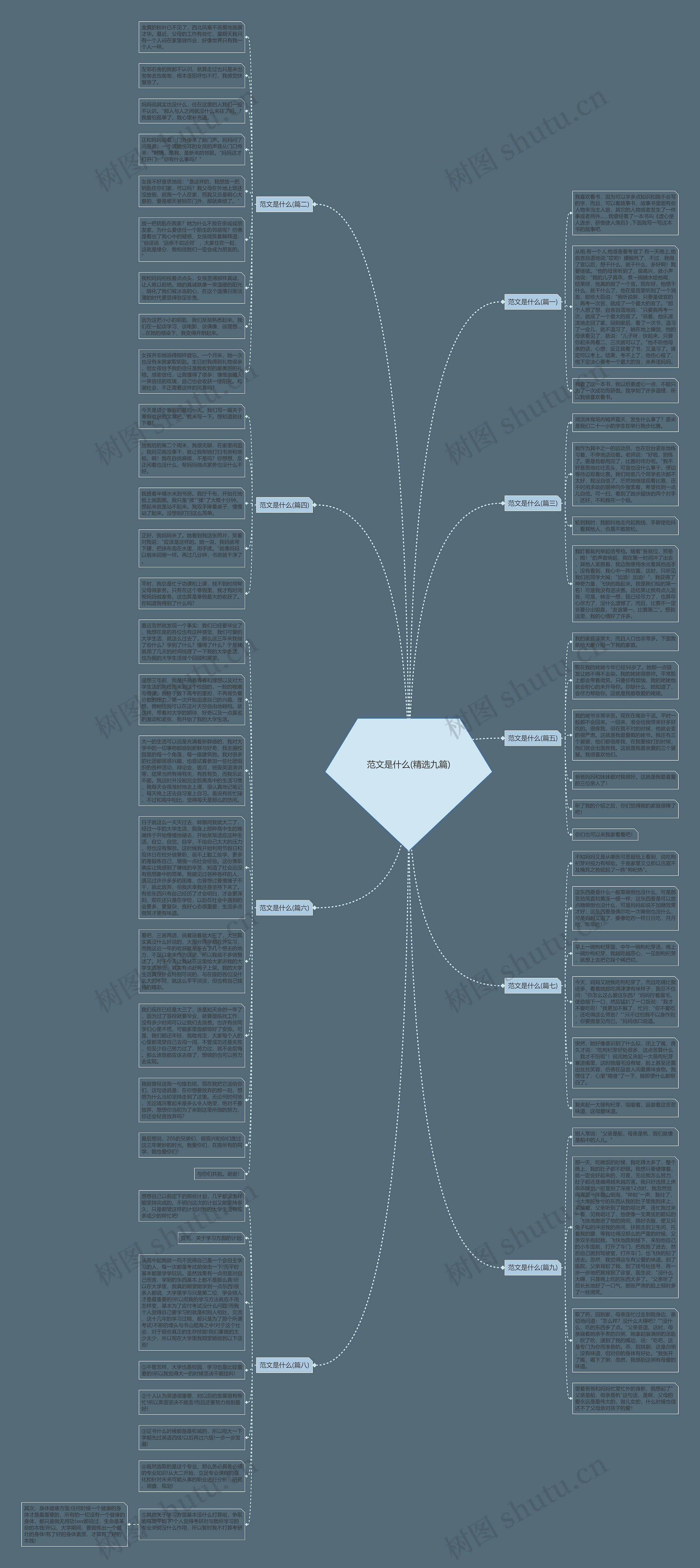 范文是什么(精选九篇)思维导图