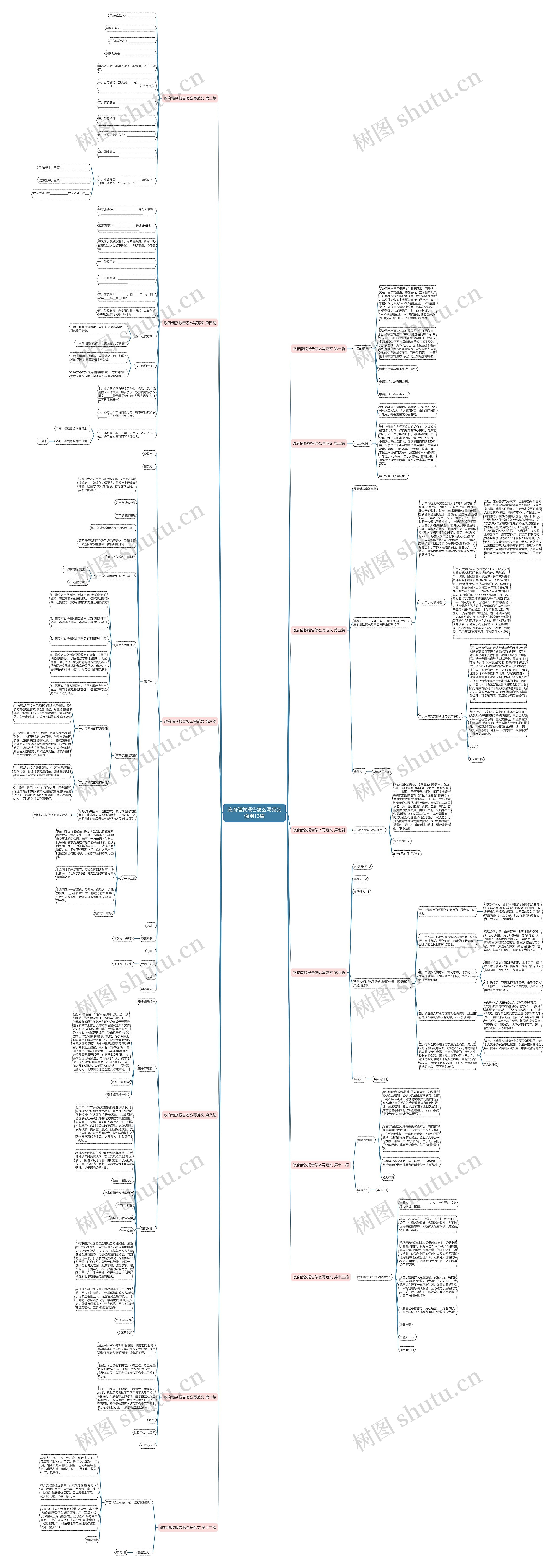 政府借款报告怎么写范文通用13篇思维导图