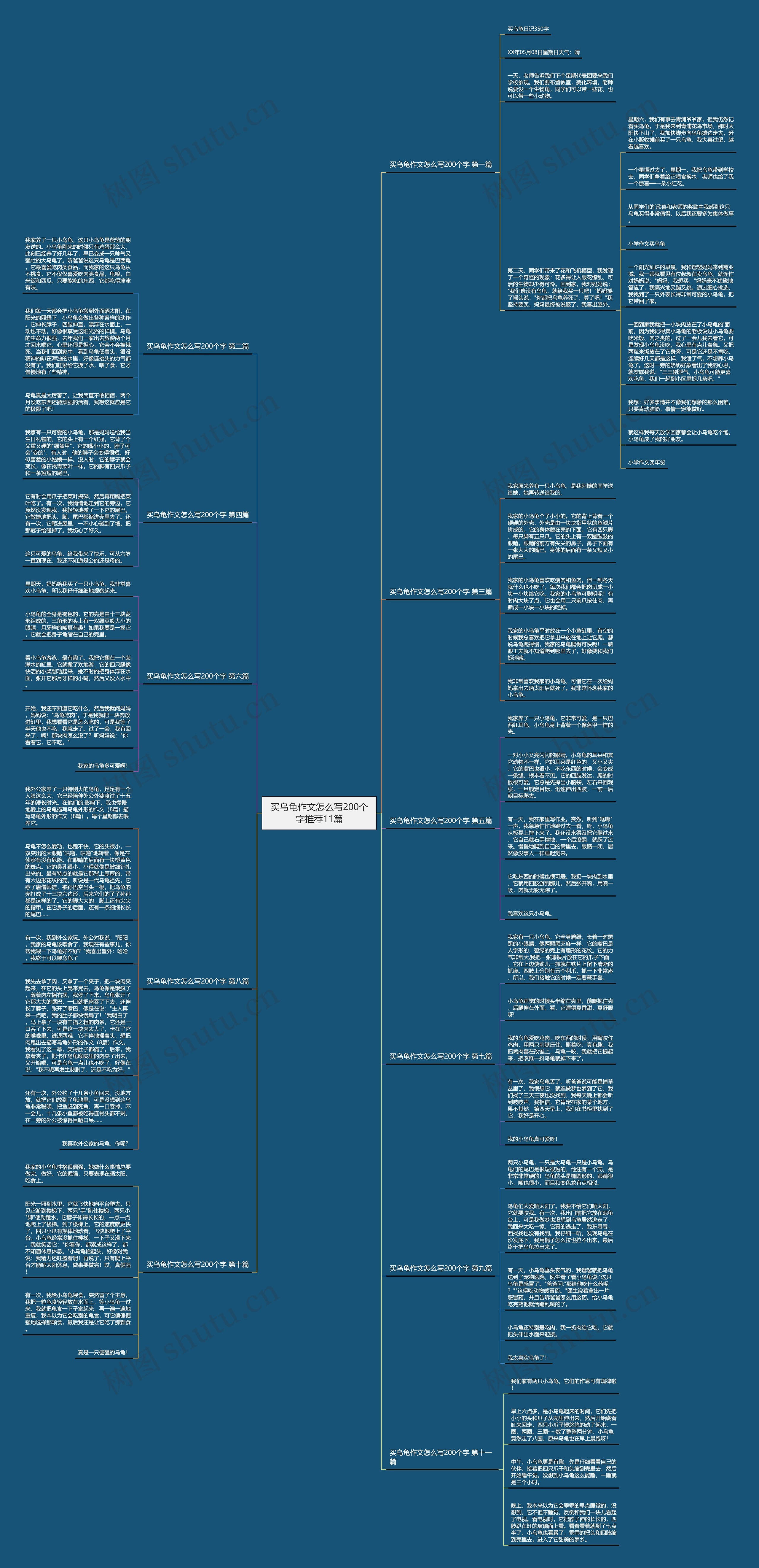 买乌龟作文怎么写200个字推荐11篇思维导图