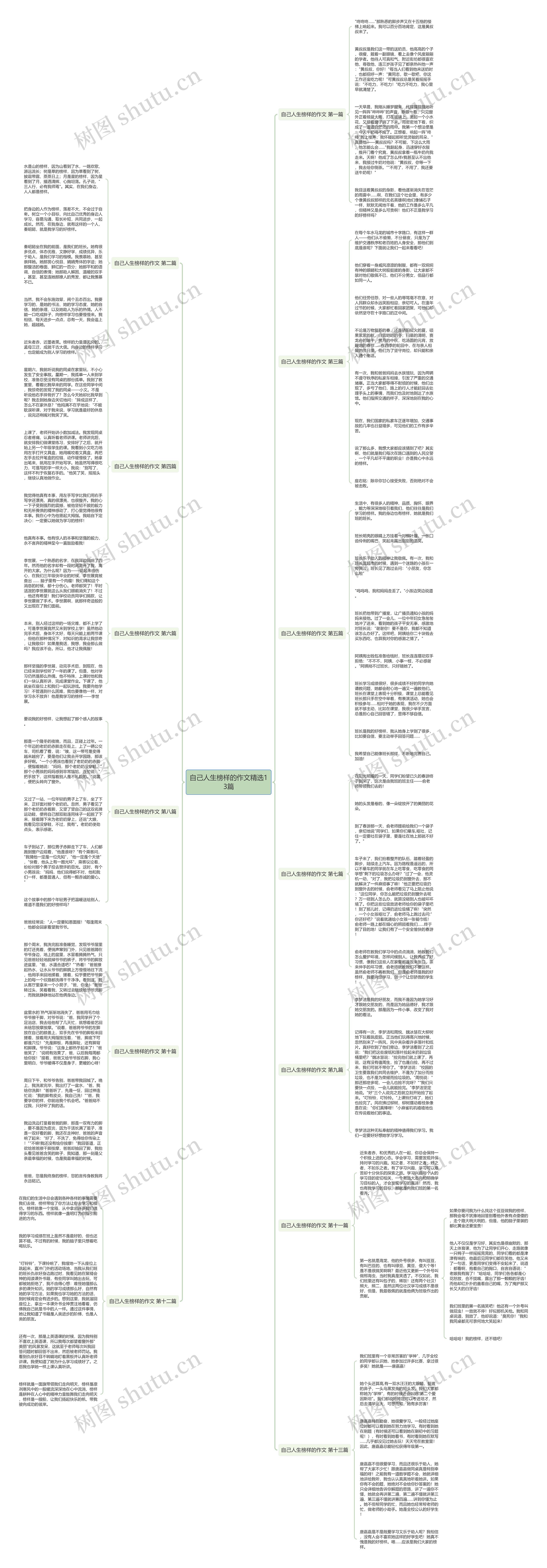 自己人生榜样的作文精选13篇思维导图