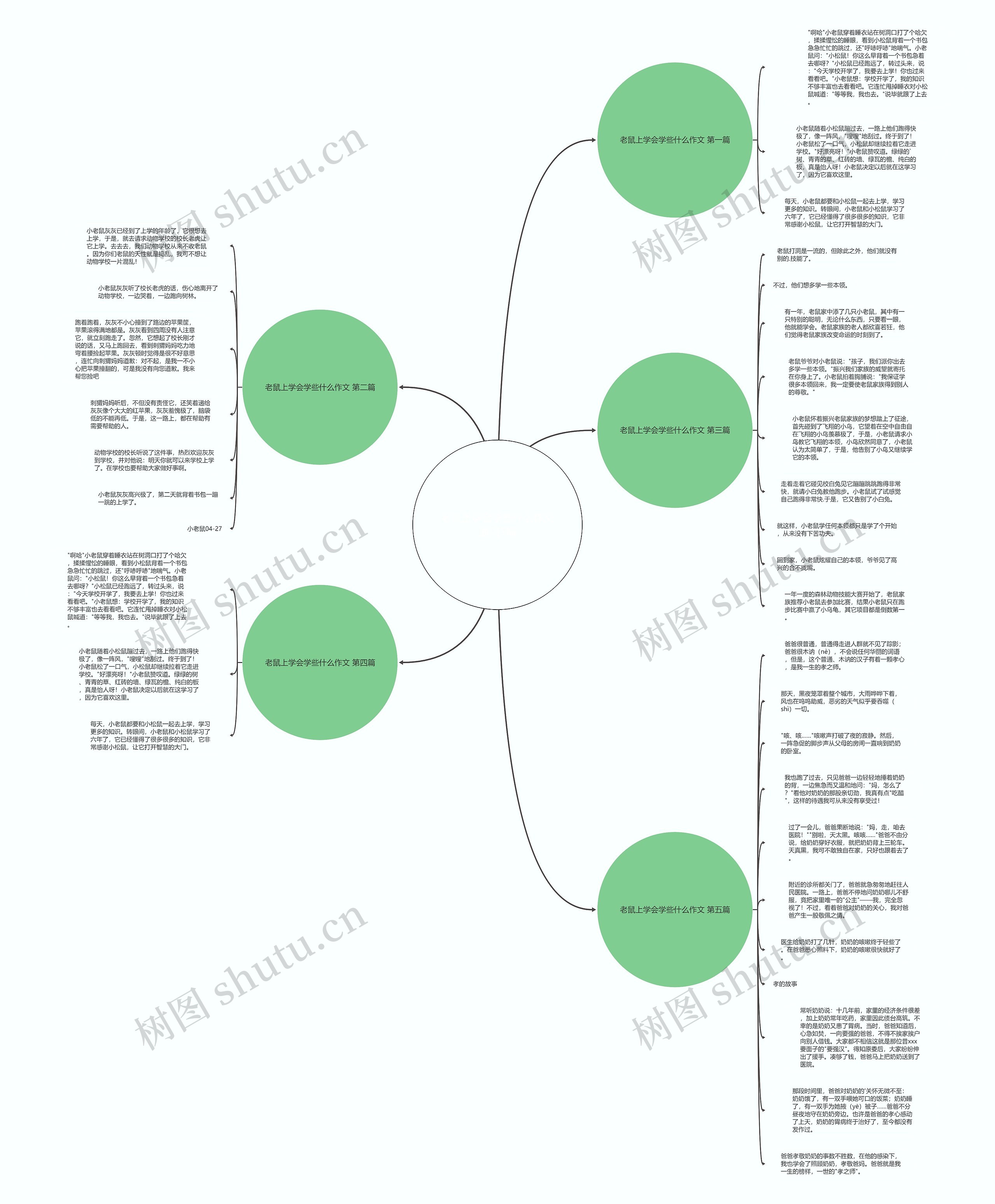 老鼠上学会学些什么作文通用5篇思维导图