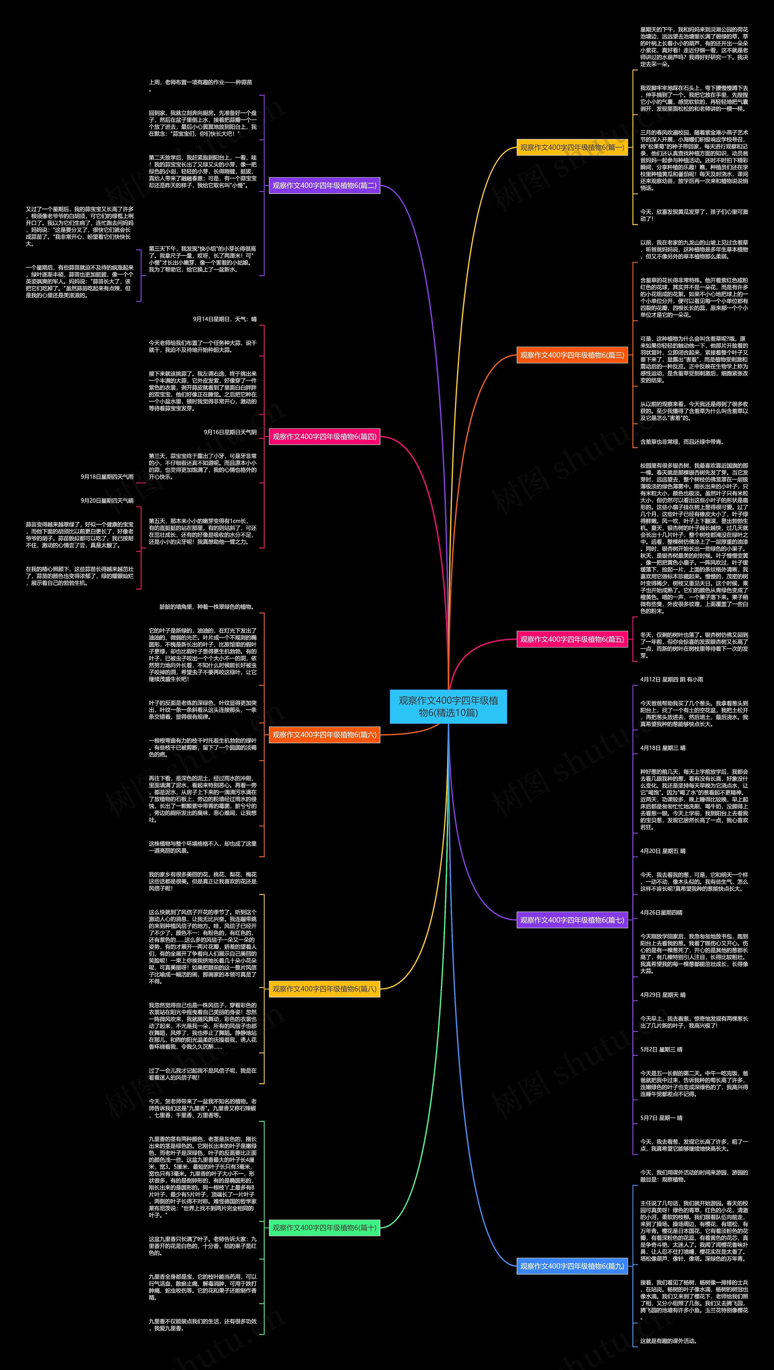 观察作文400字四年级植物6(精选10篇)思维导图