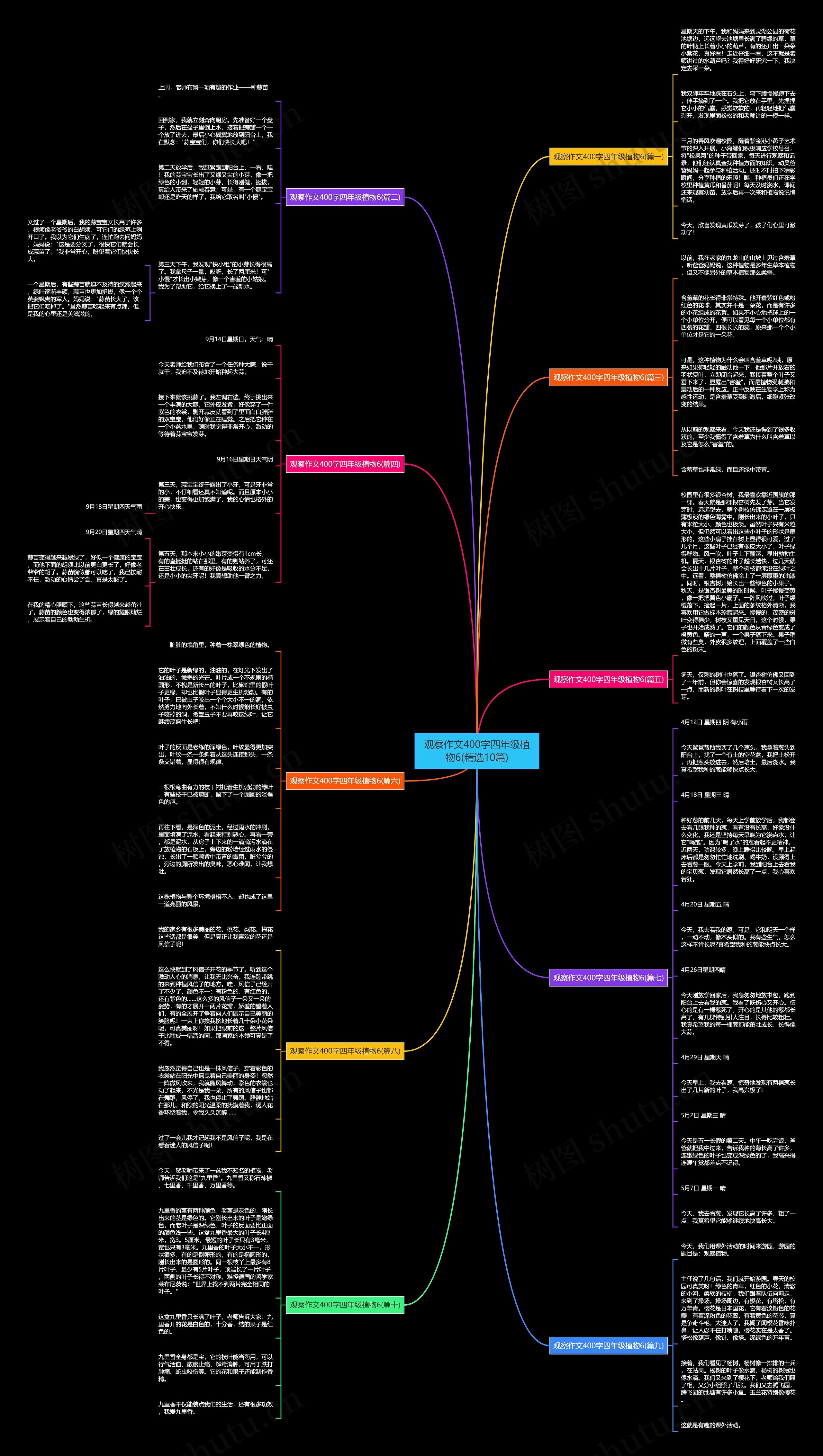 观察作文400字四年级植物6(精选10篇) 观察作文400字四年级植物6(精选10篇)