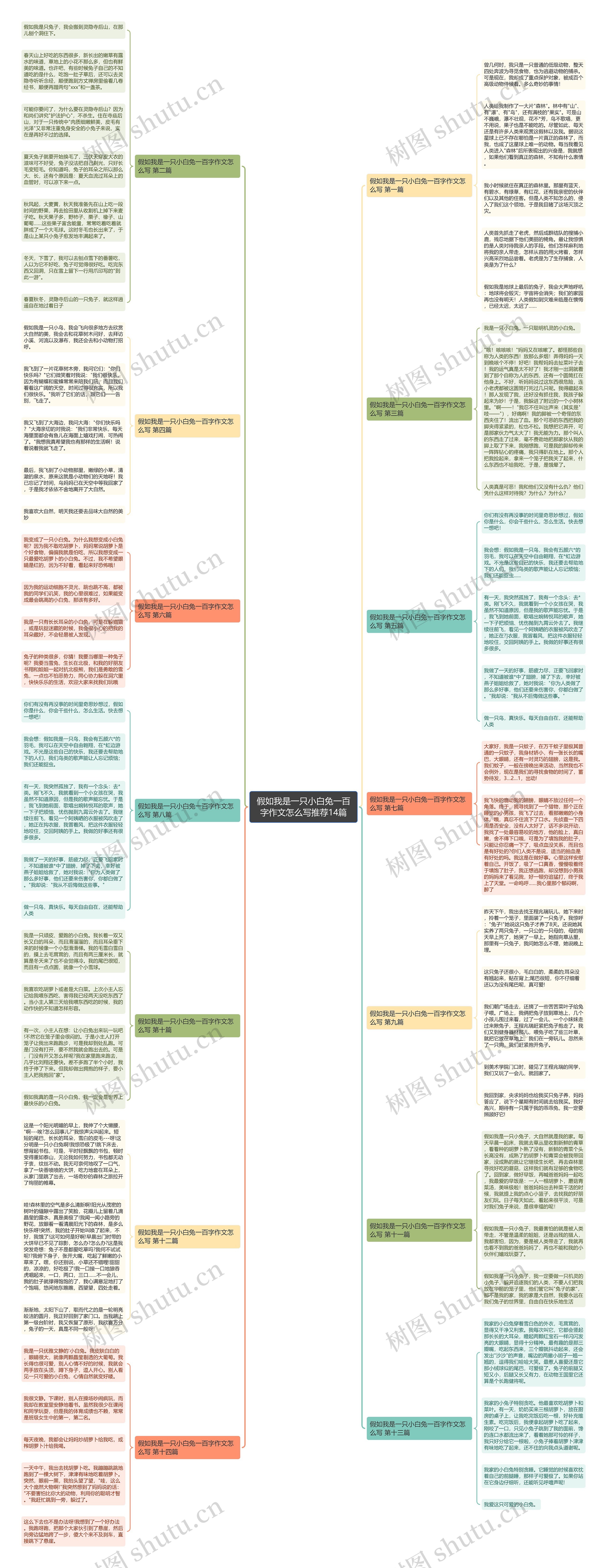 假如我是一只小白兔一百字作文怎么写推荐14篇思维导图