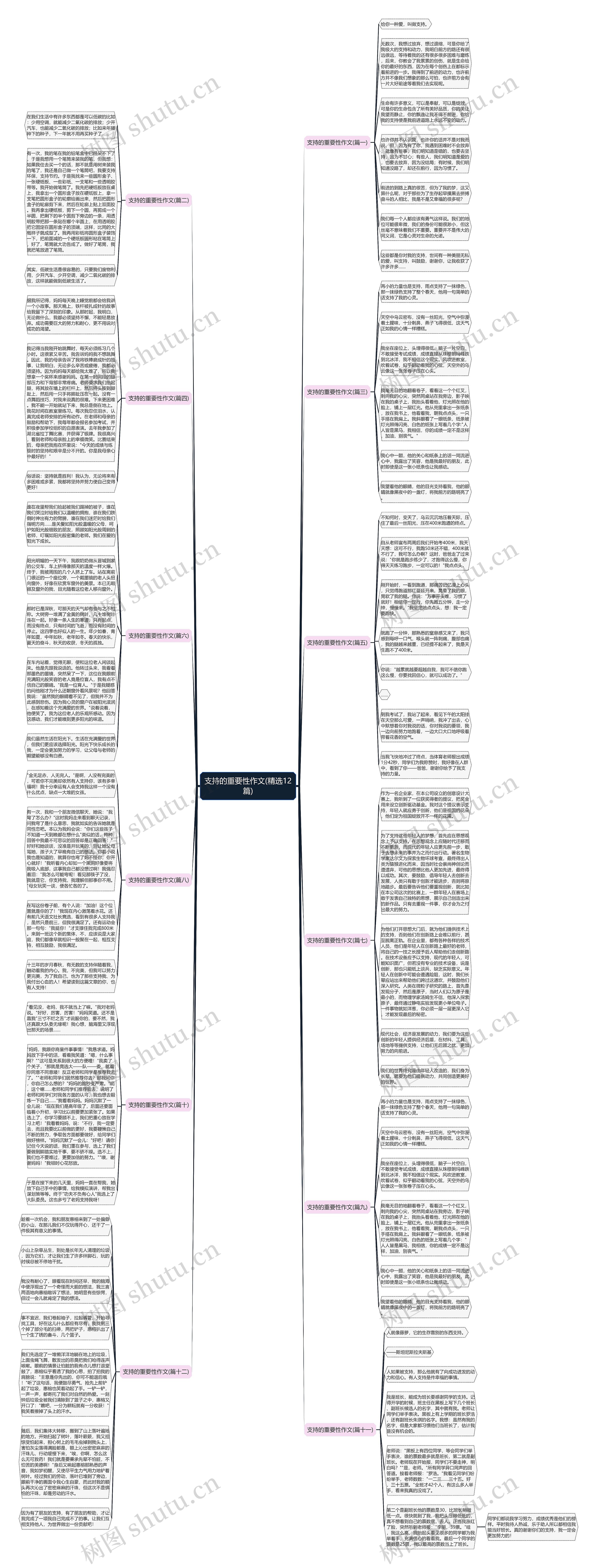 支持的重要性作文(精选12篇)思维导图