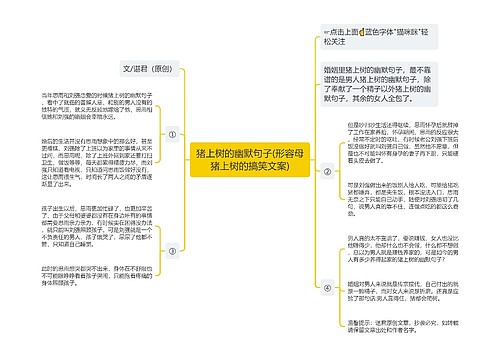 猪上树的幽默句子(形容母猪上树的搞笑文案)