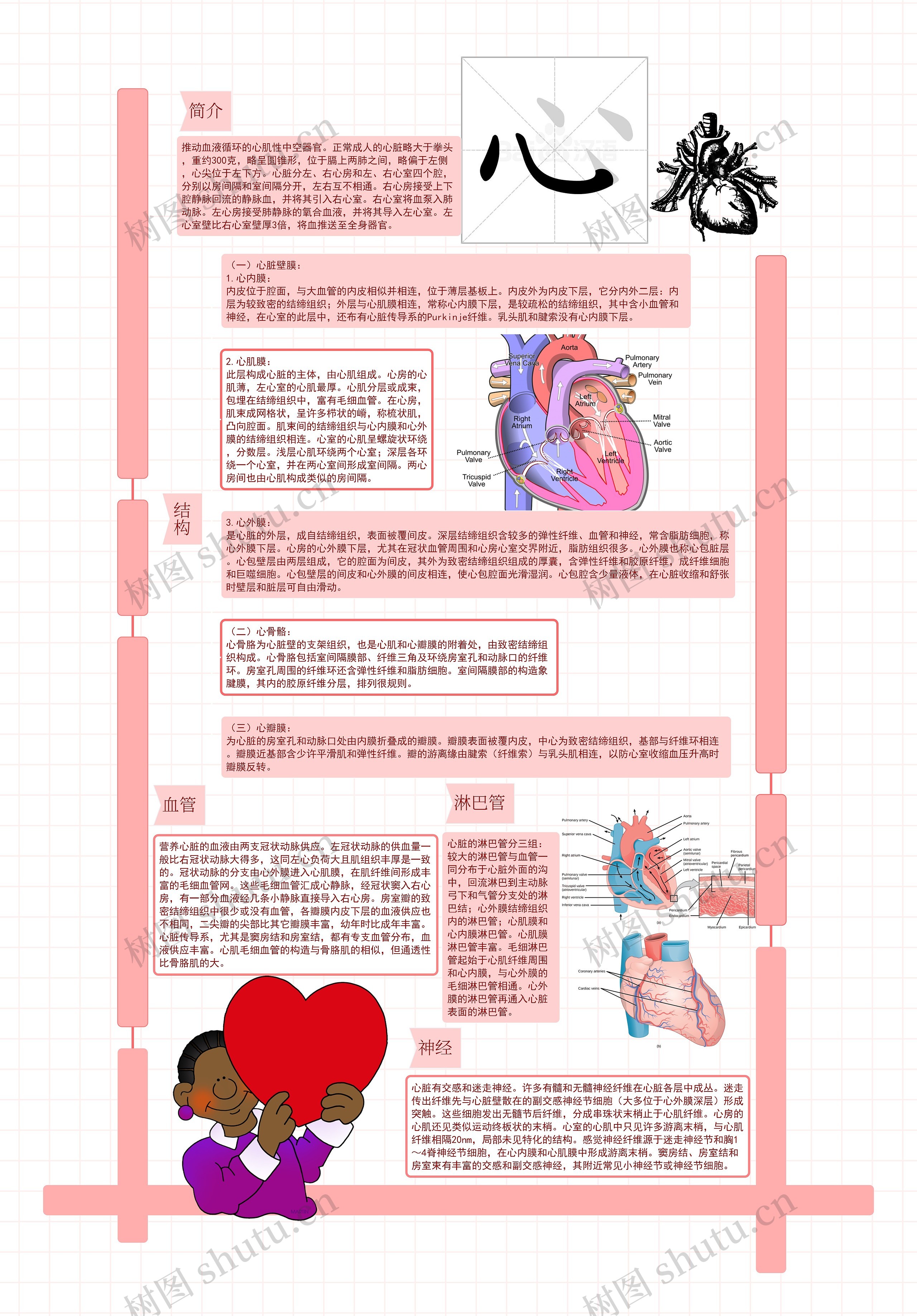 五脏思维导图