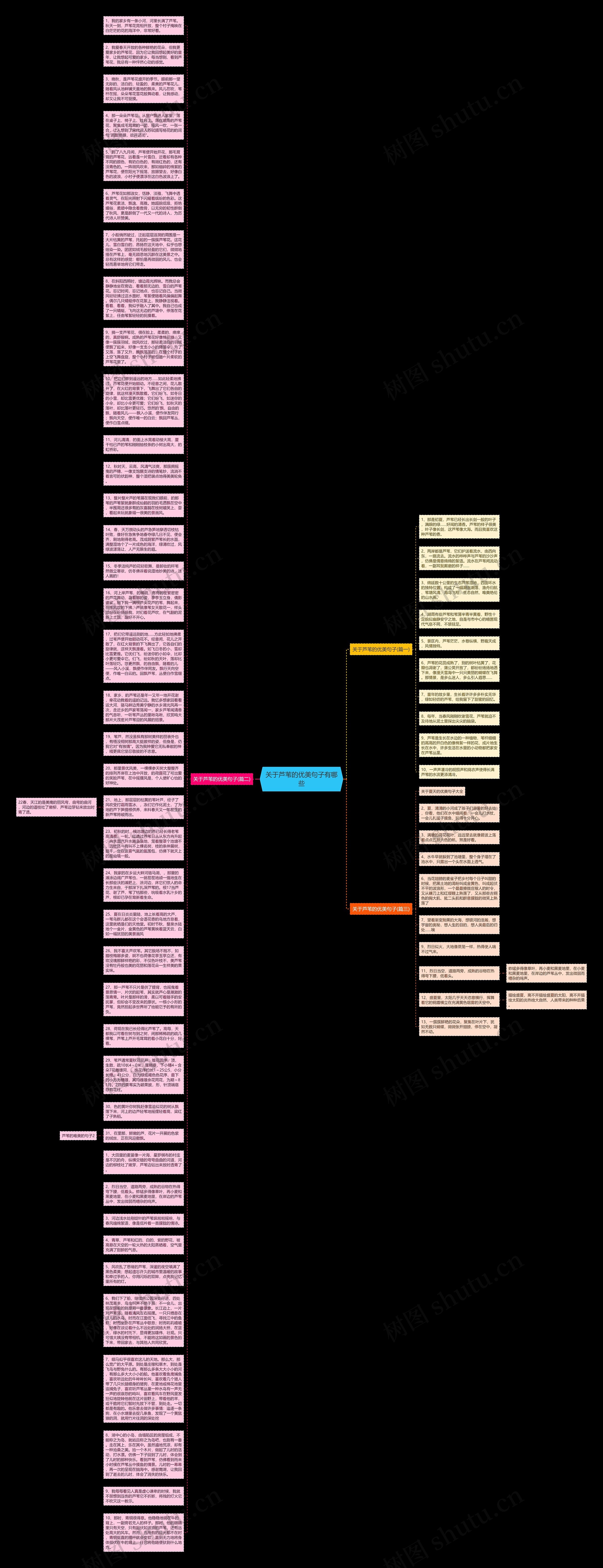 关于芦苇的优美句子有哪些思维导图