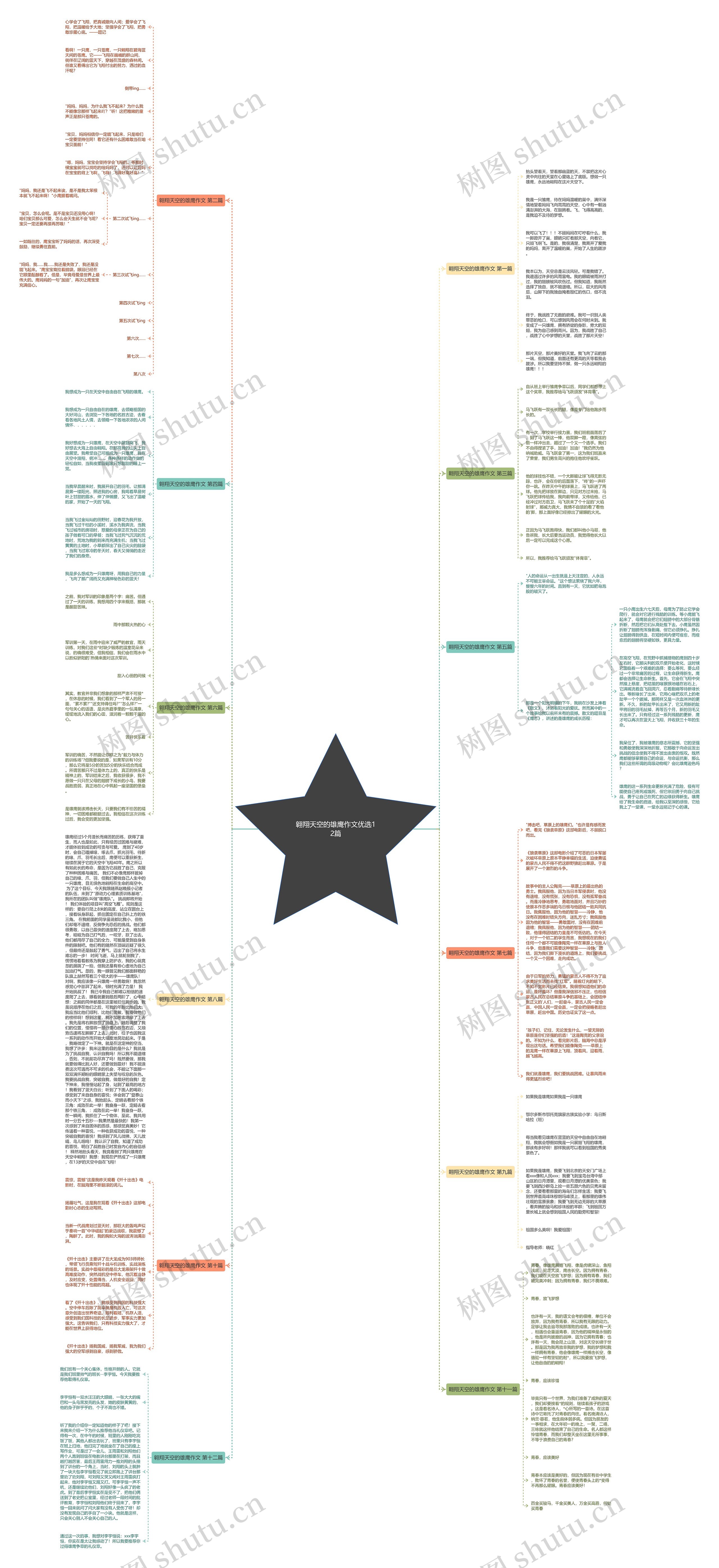 翱翔天空的雄鹰作文优选12篇思维导图