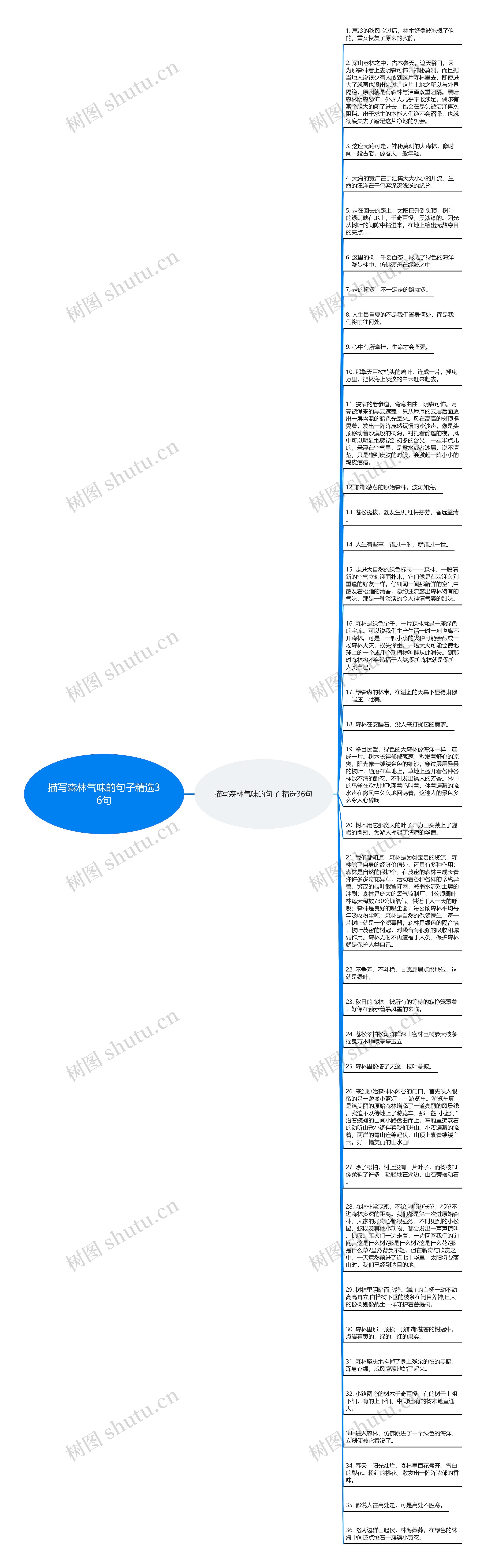 描写森林气味的句子精选36句思维导图