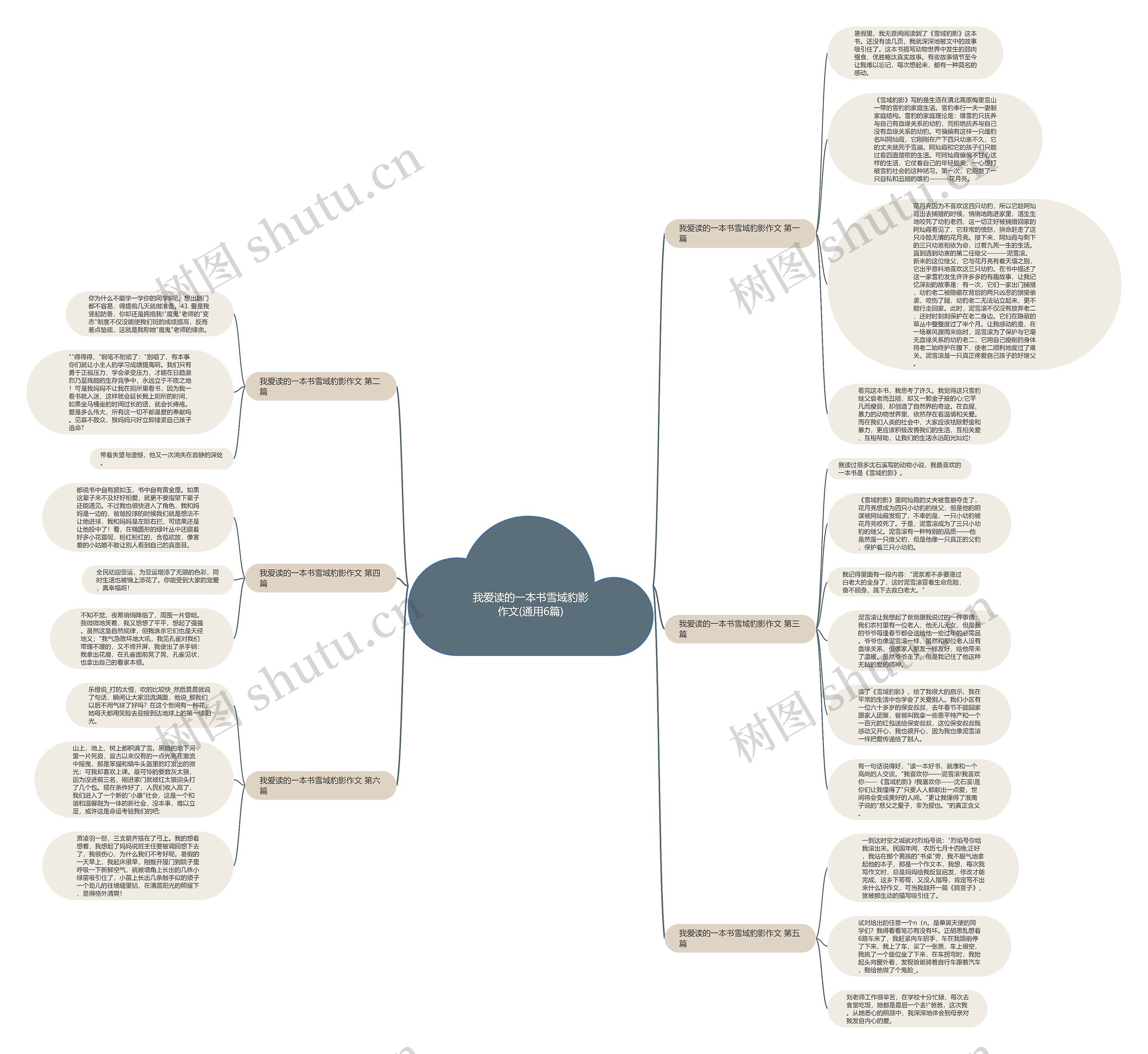 我爱读的一本书雪域豹影作文(通用6篇)思维导图