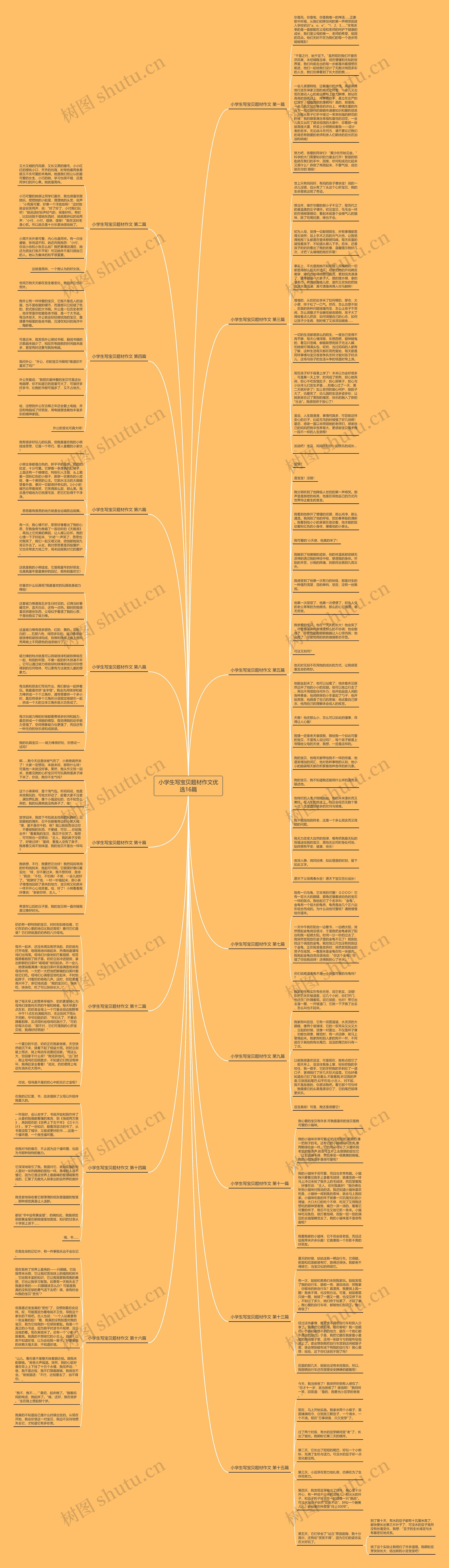 小学生写宝贝题材作文优选16篇思维导图
