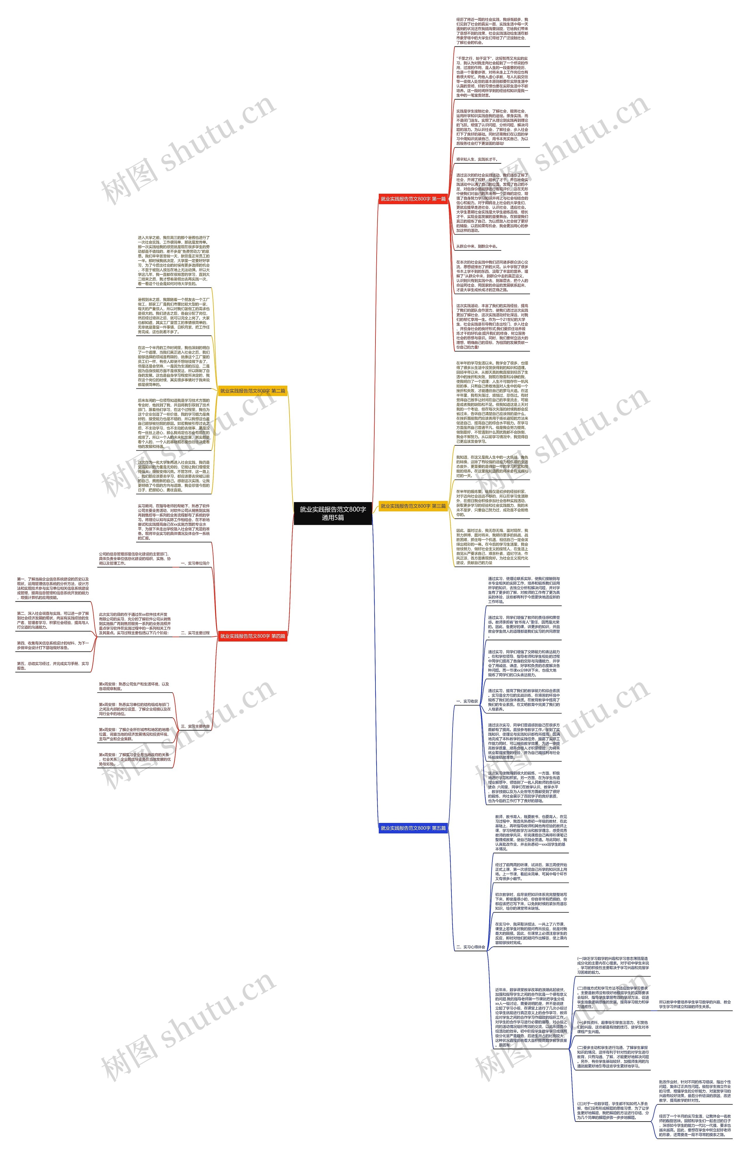 就业实践报告范文800字通用5篇思维导图