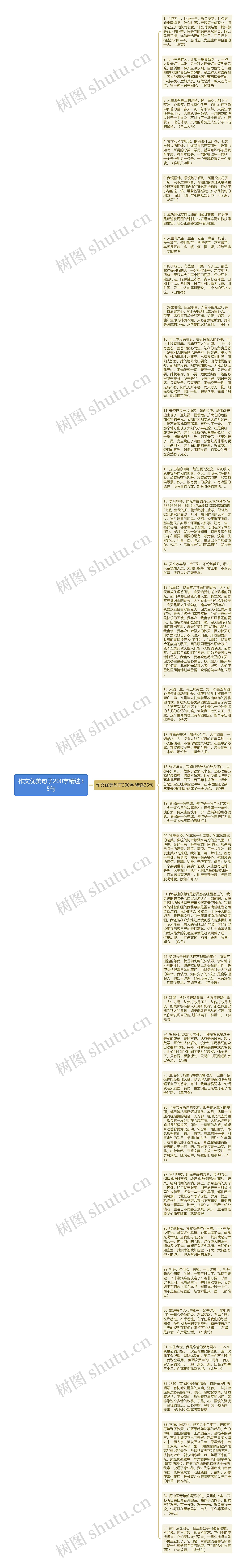 作文优美句子200字精选35句