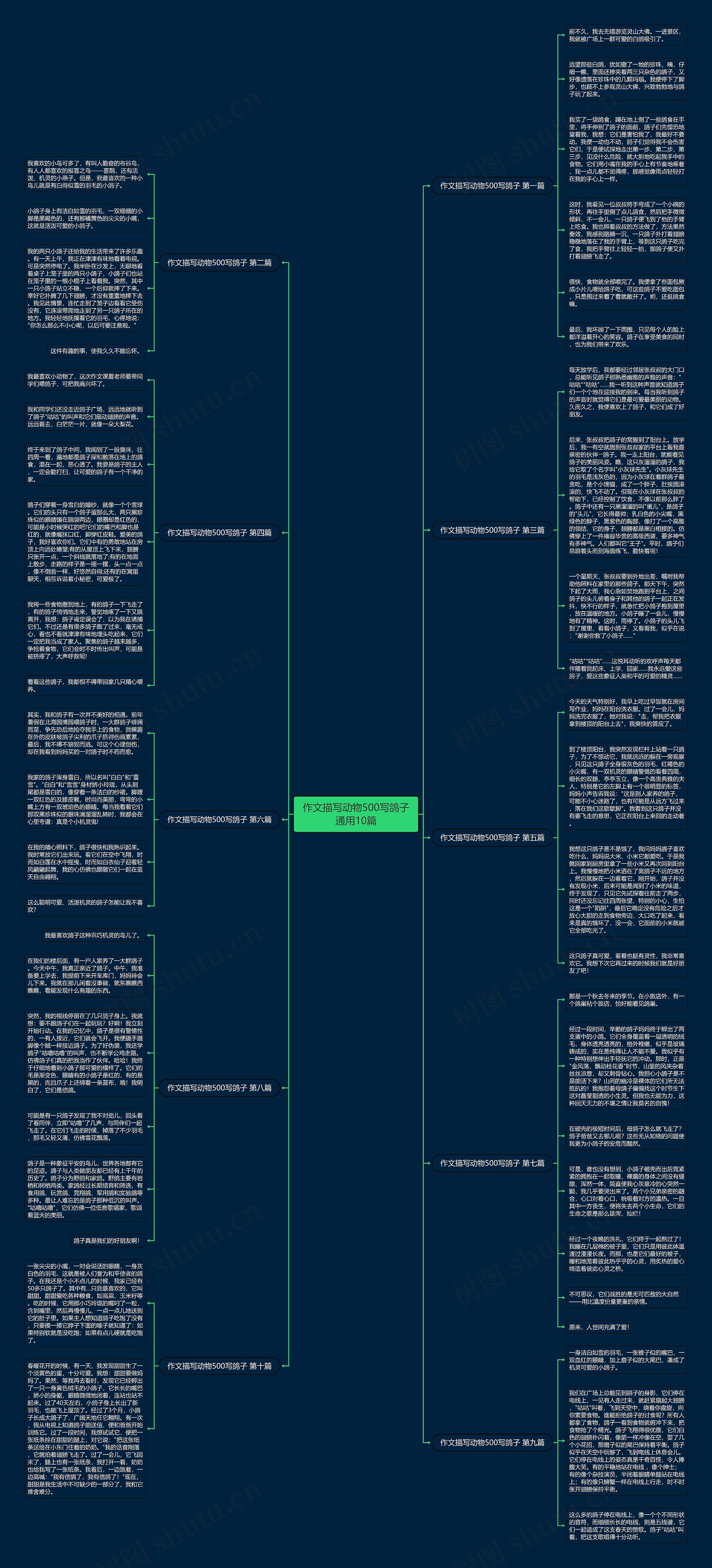 作文描写动物500写鸽子通用10篇思维导图