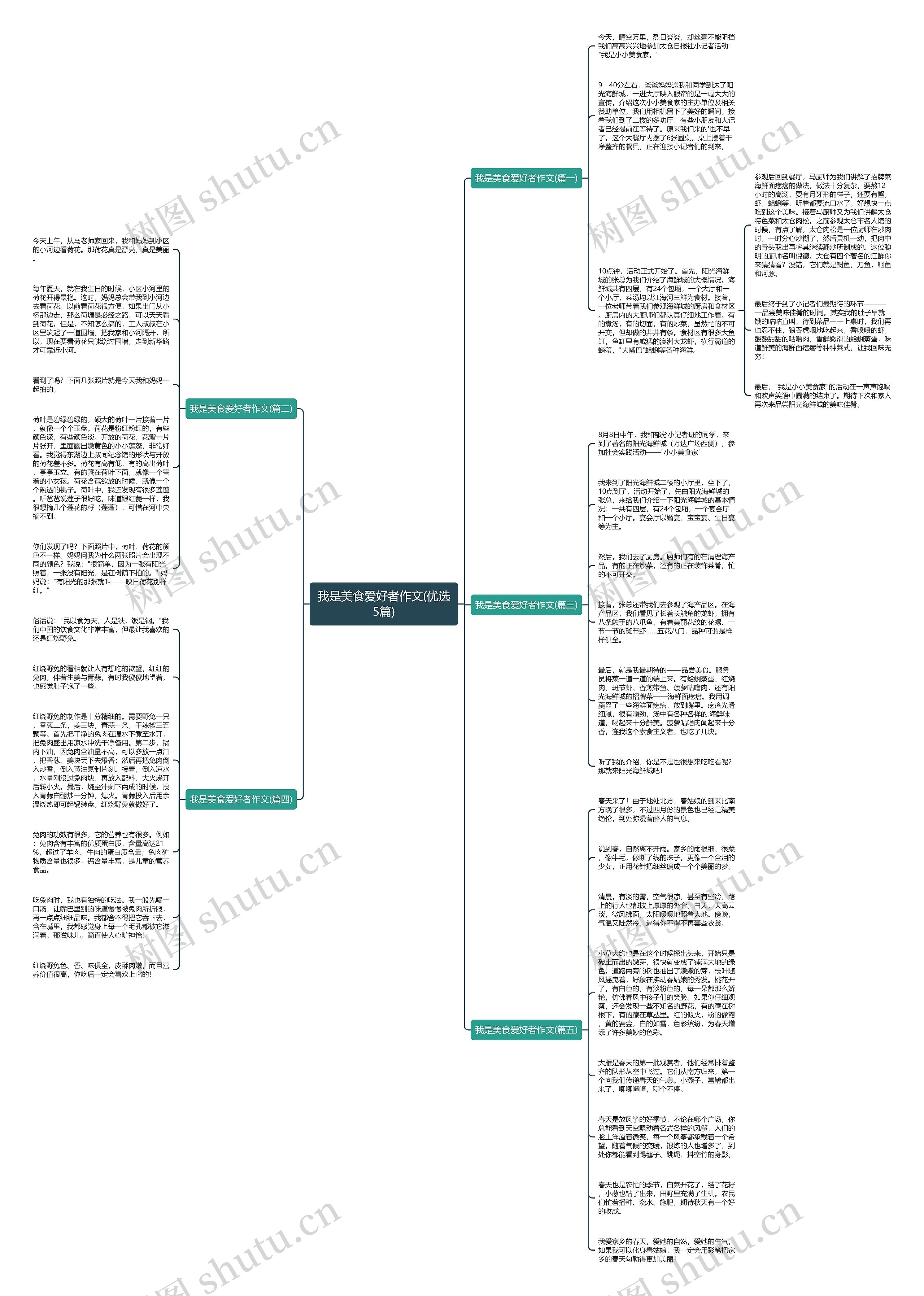 我是美食爱好者作文(优选5篇)思维导图