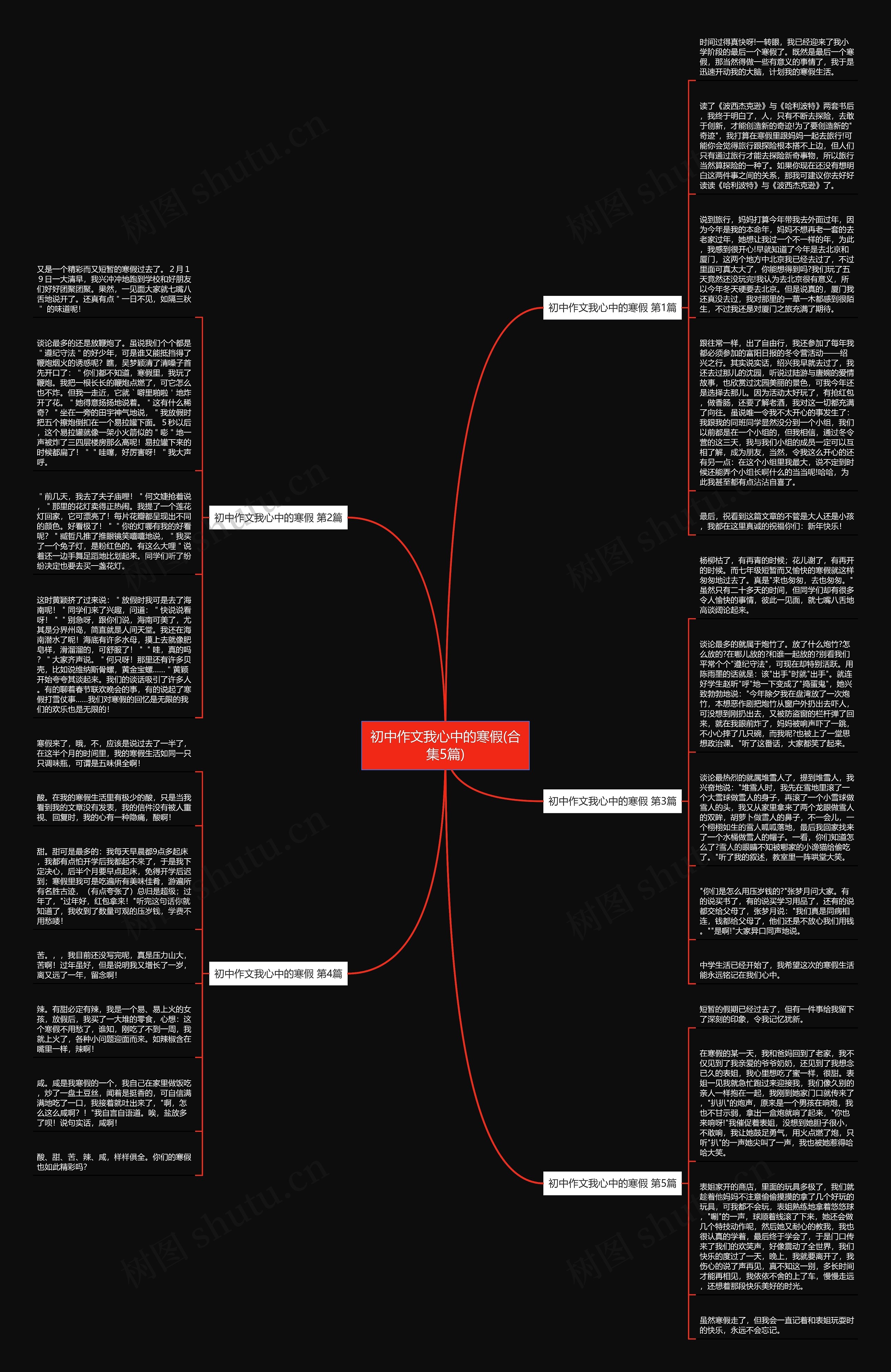 初中作文我心中的寒假(合集5篇)思维导图