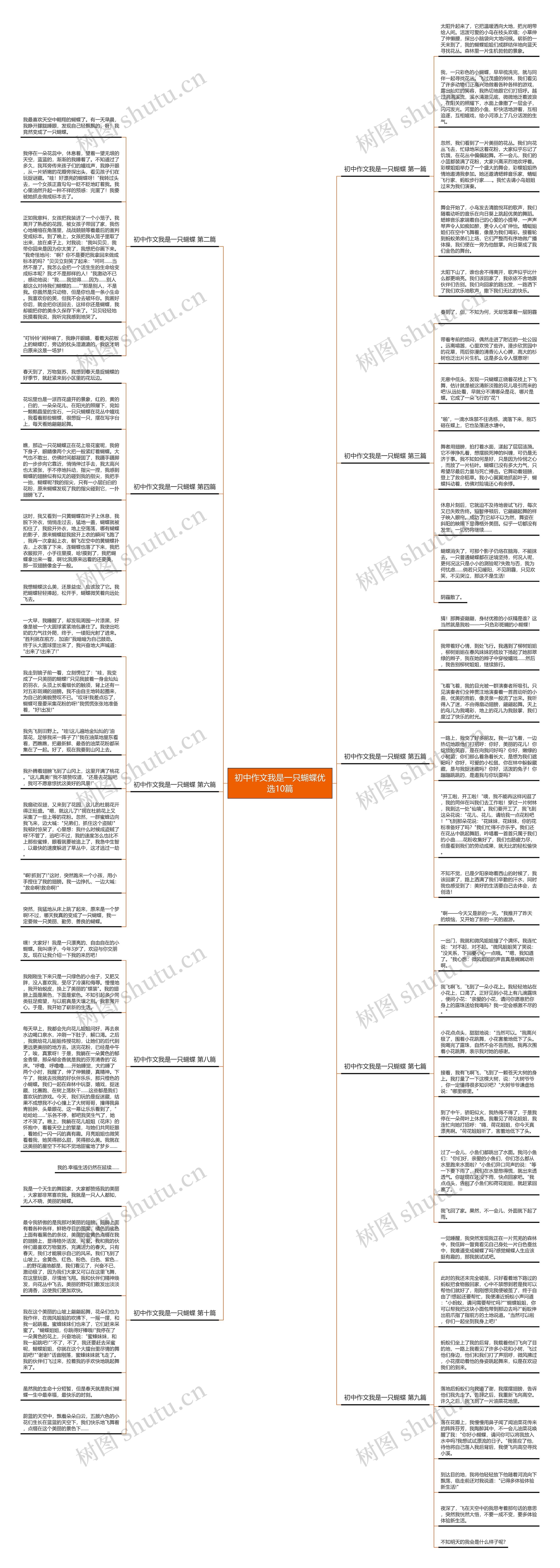 初中作文我是一只蝴蝶优选10篇思维导图