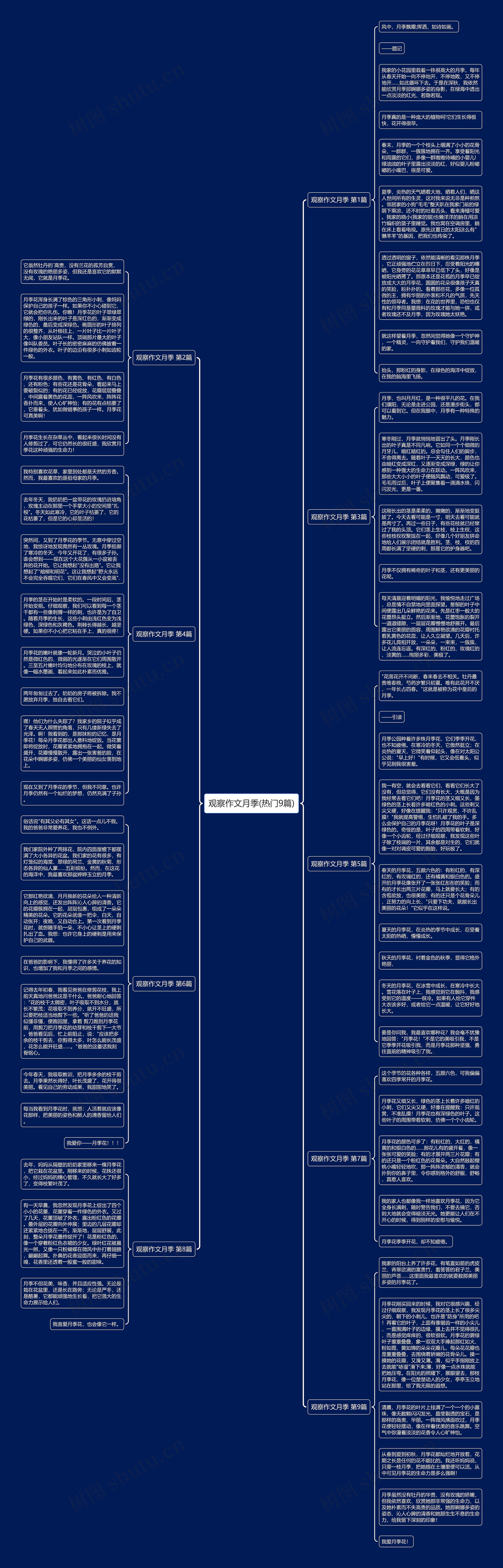 观察作文月季(热门9篇)思维导图