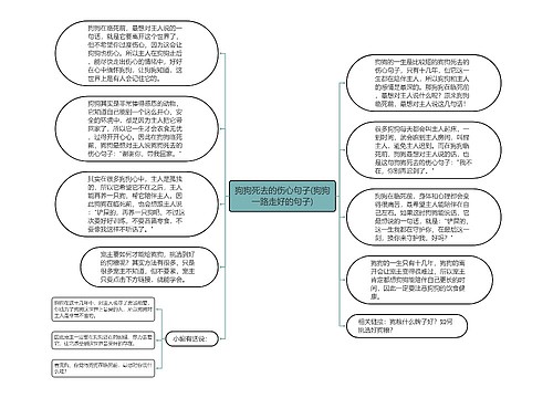 狗狗死去的伤心句子(狗狗一路走好的句子)