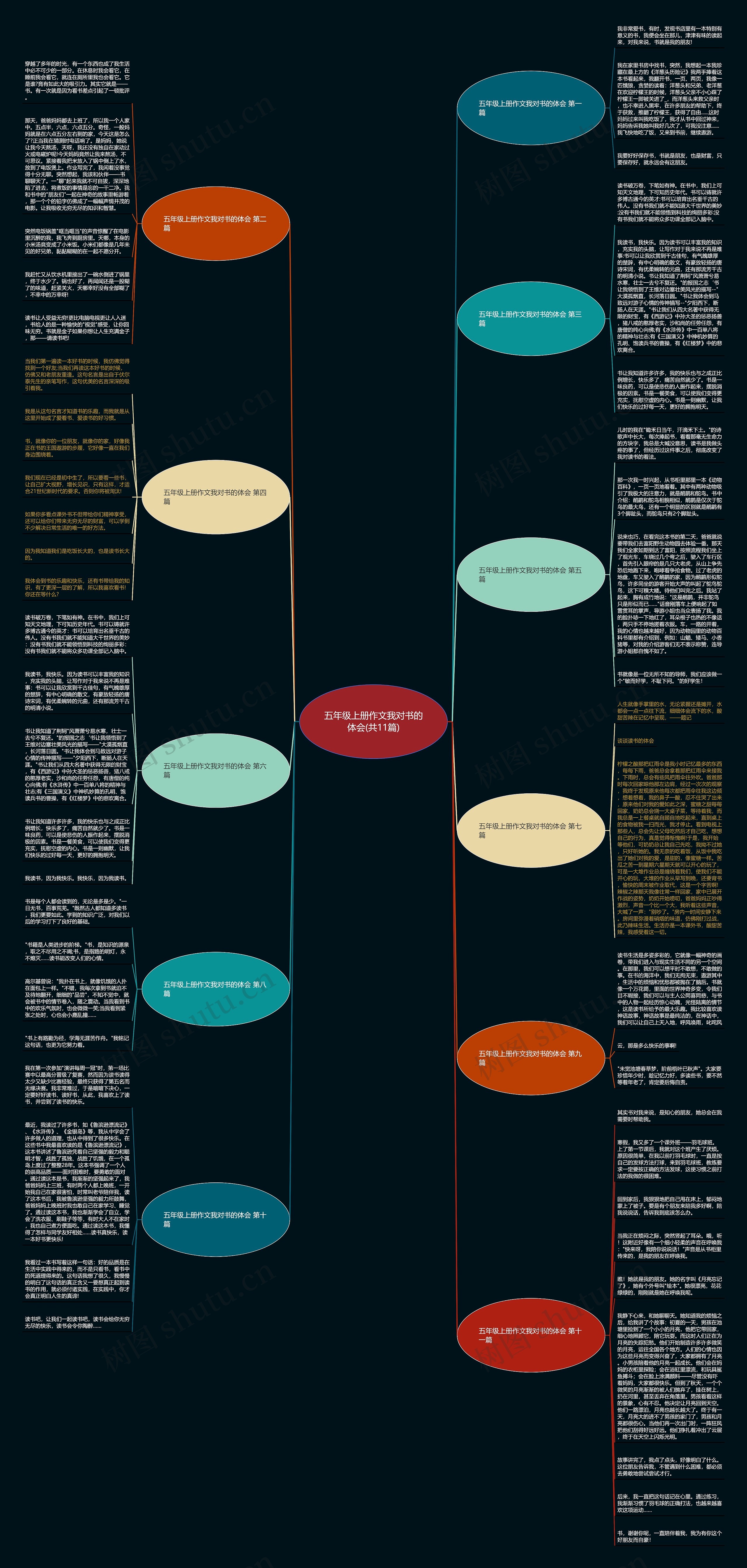 五年级上册作文我对书的体会(共11篇)思维导图