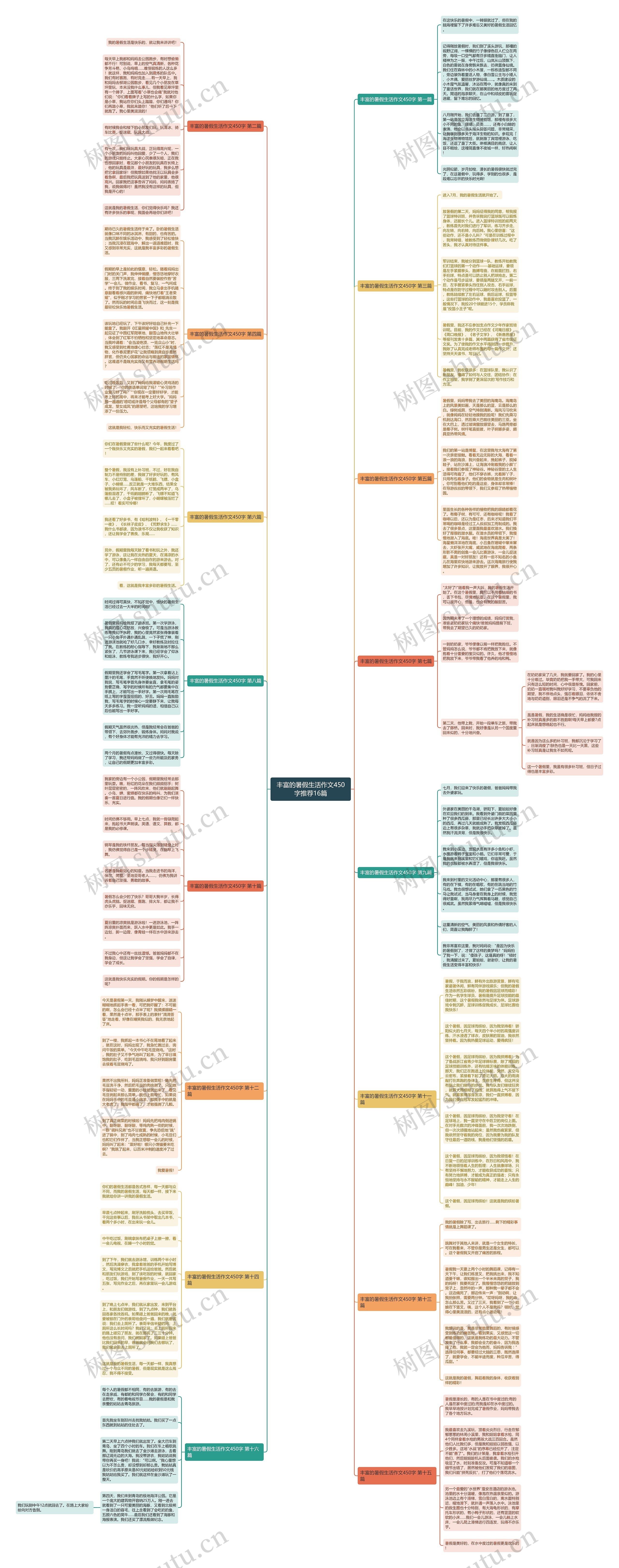 丰富的暑假生活作文450字推荐16篇思维导图