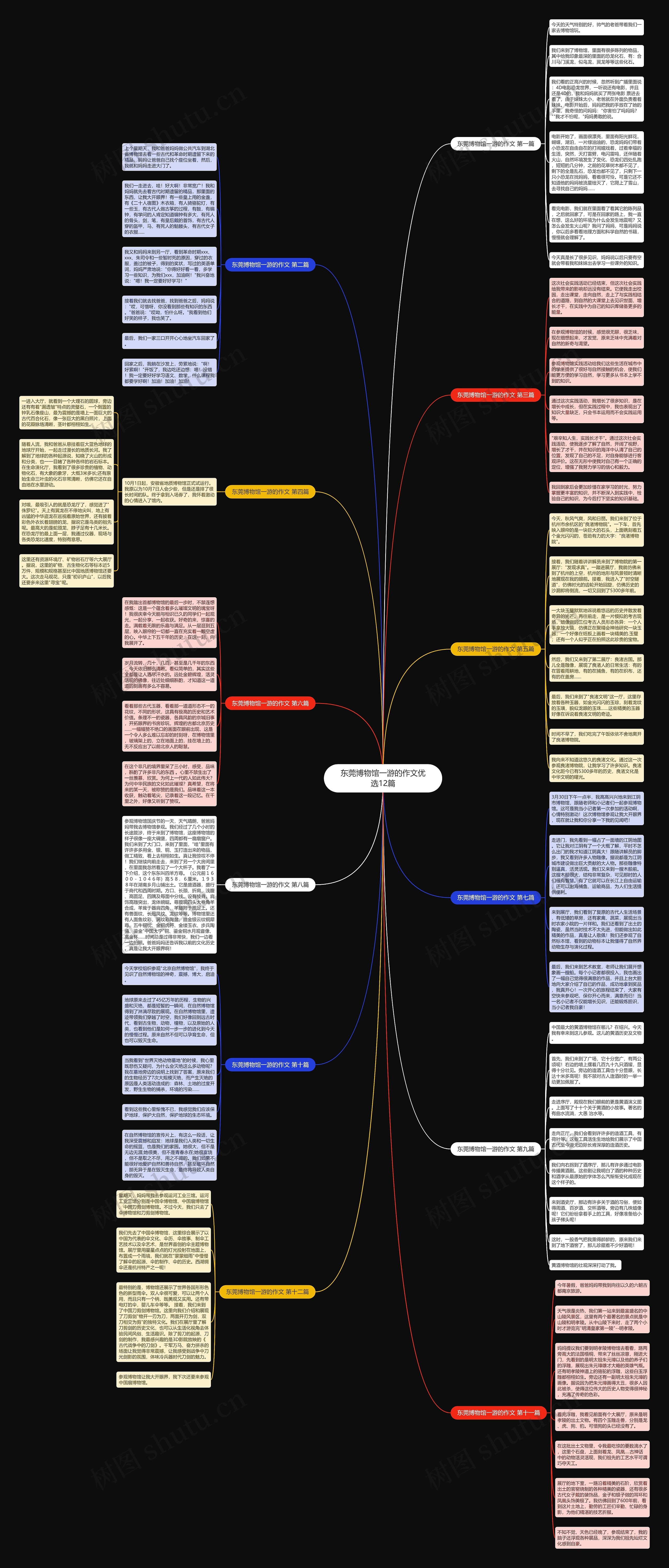 东莞博物馆一游的作文优选12篇思维导图
