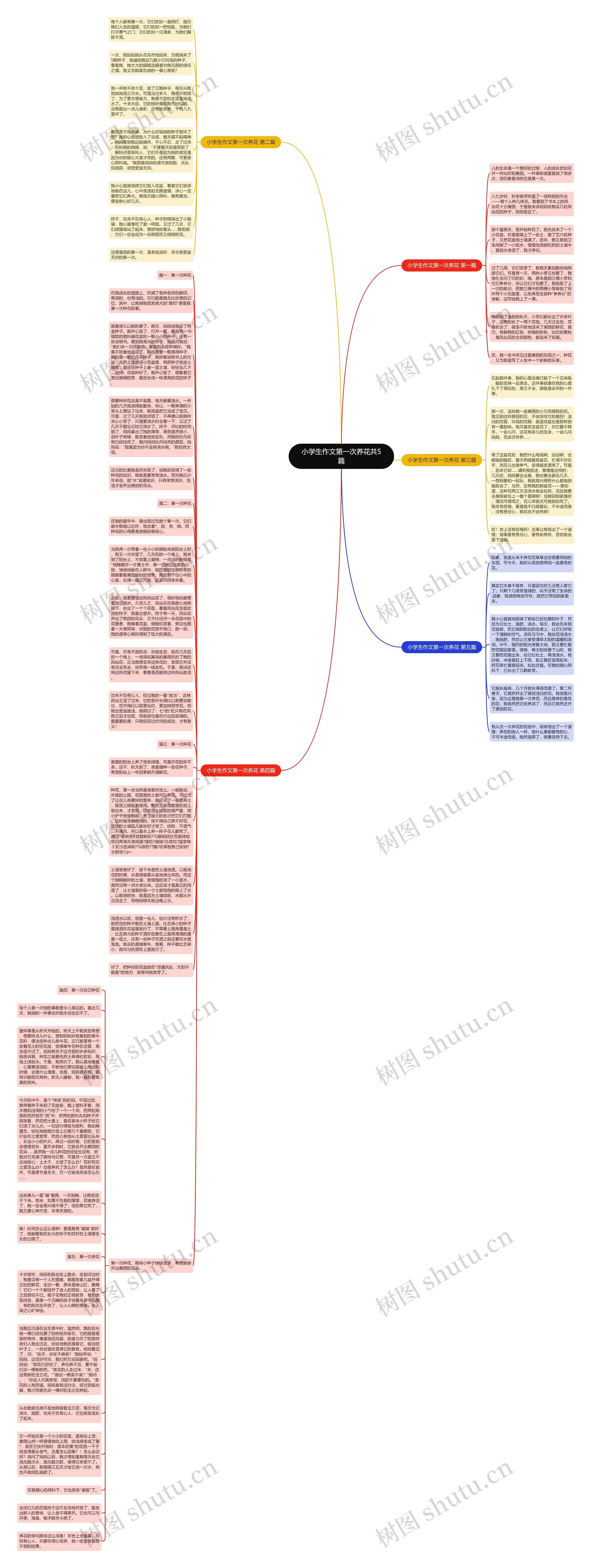 小学生作文第一次养花共5篇思维导图