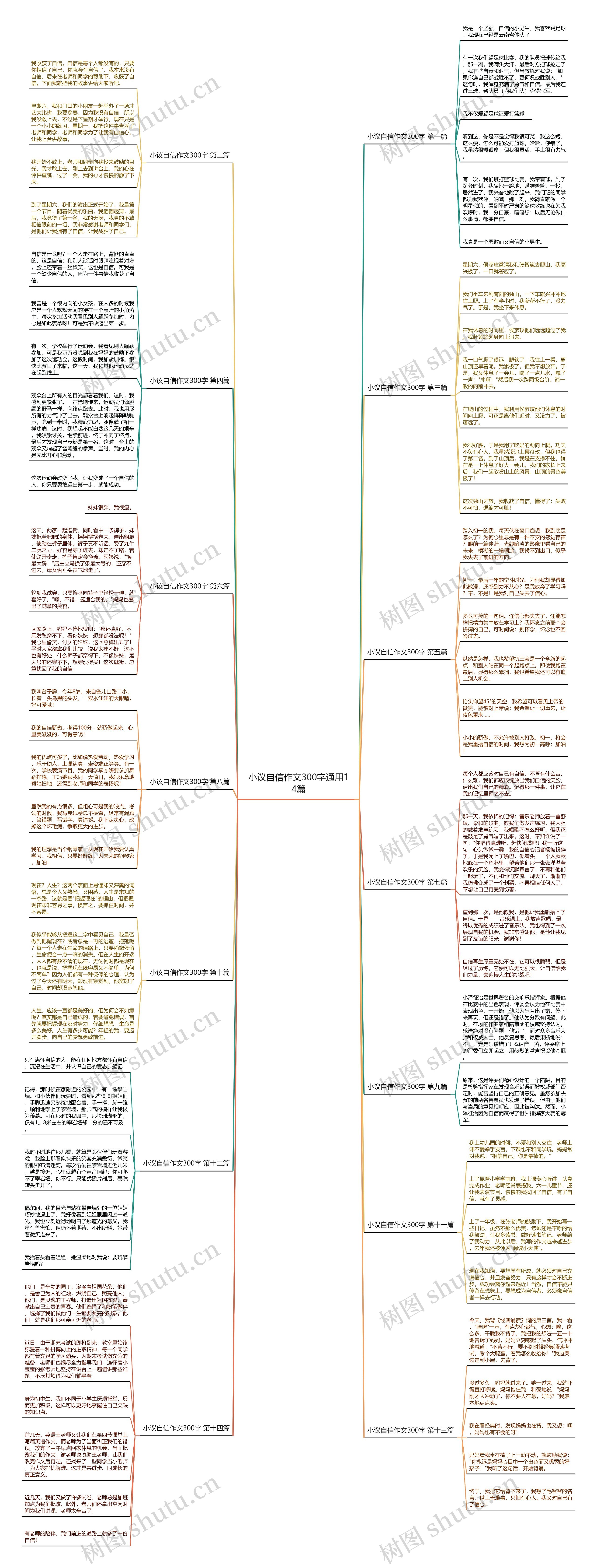 小议自信作文300字通用14篇思维导图
