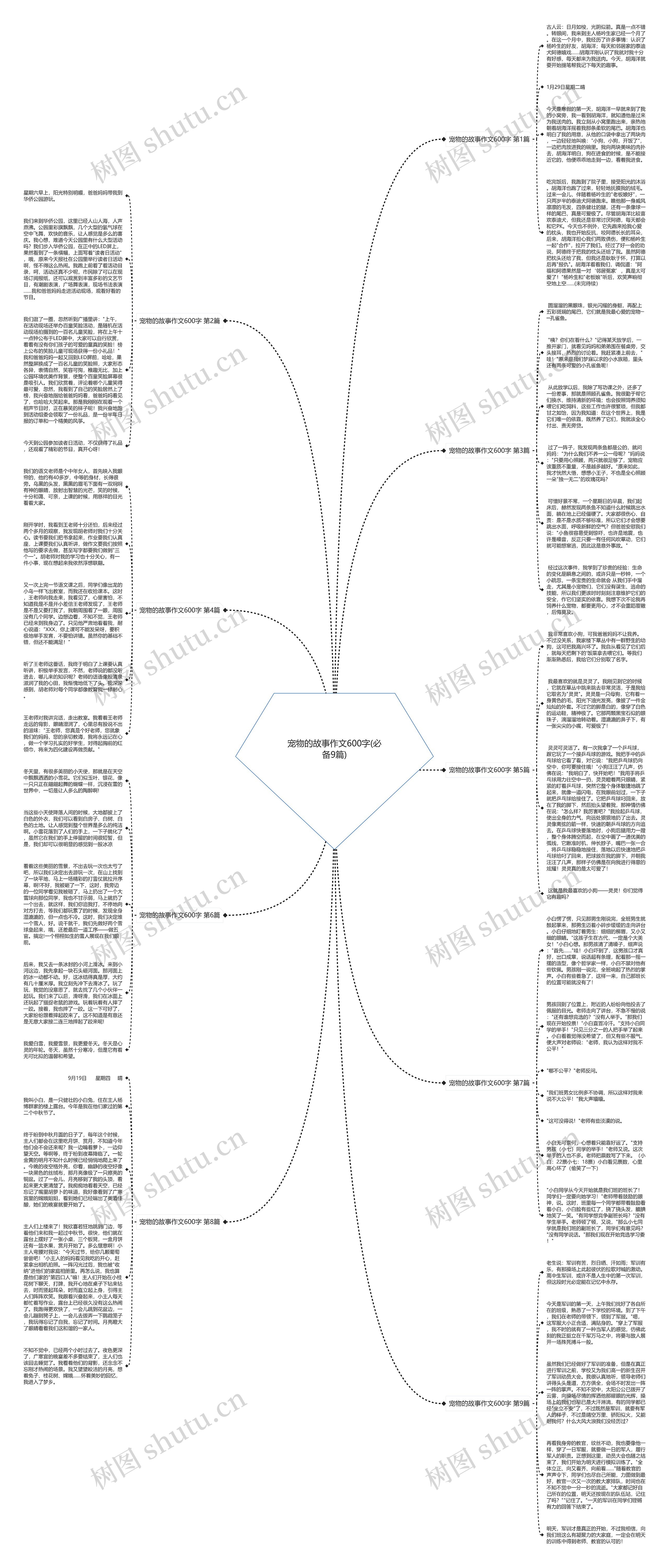 宠物的故事作文600字(必备9篇)思维导图