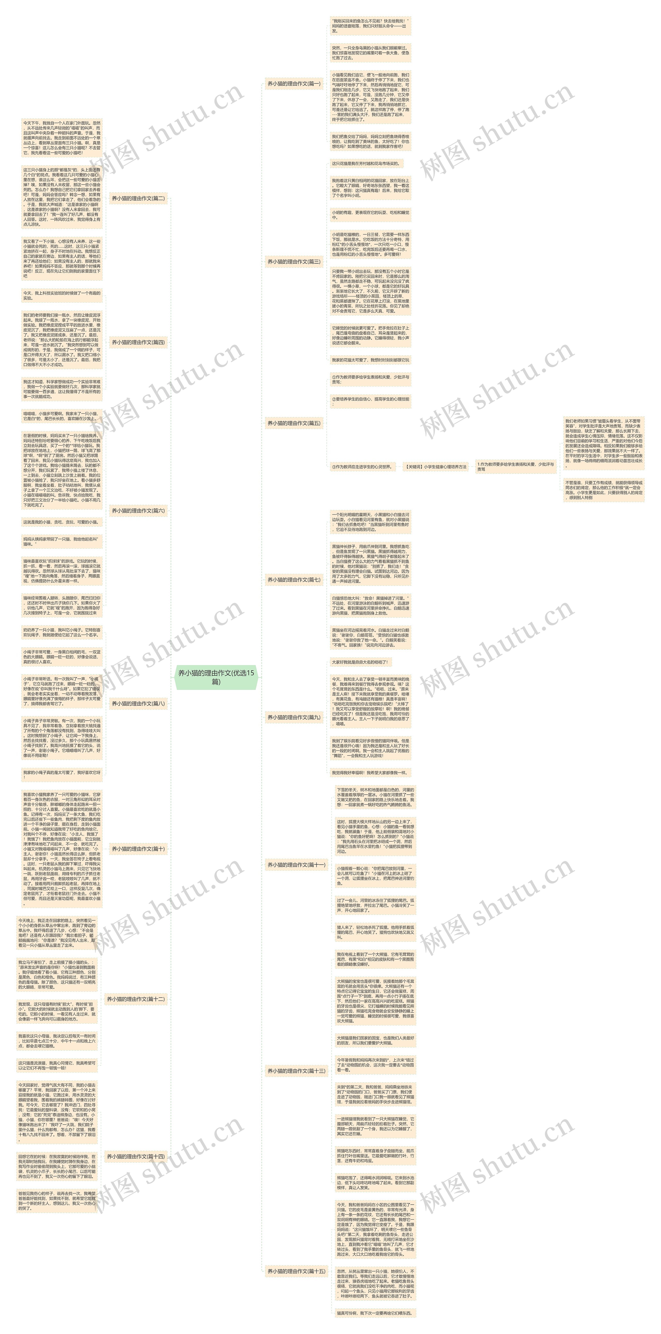 养小猫的理由作文(优选15篇)思维导图
