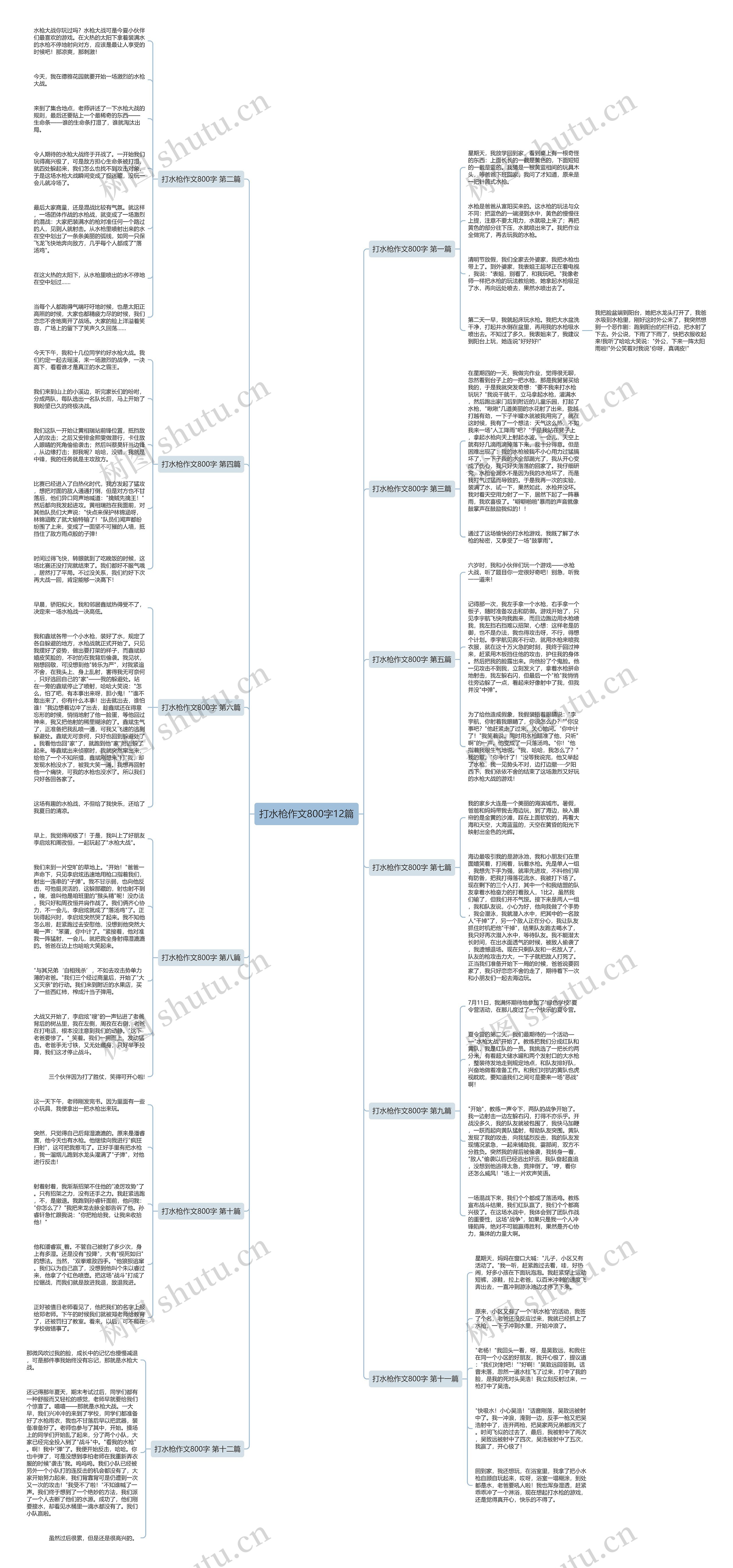 打水枪作文800字12篇 打水枪作文800字12篇