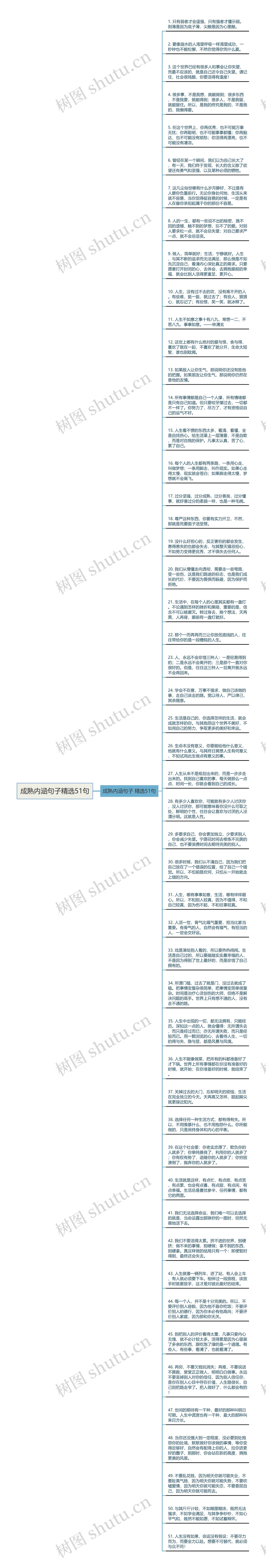 成熟内涵句子精选51句