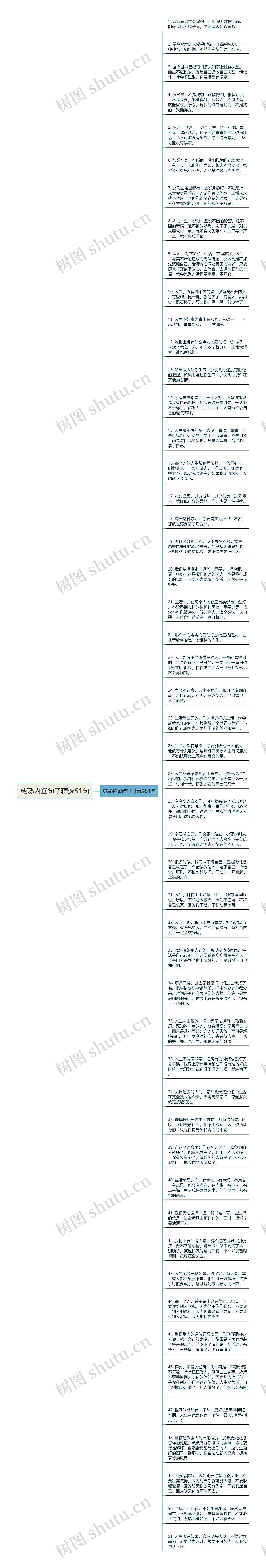 成熟内涵句子精选51句思维导图