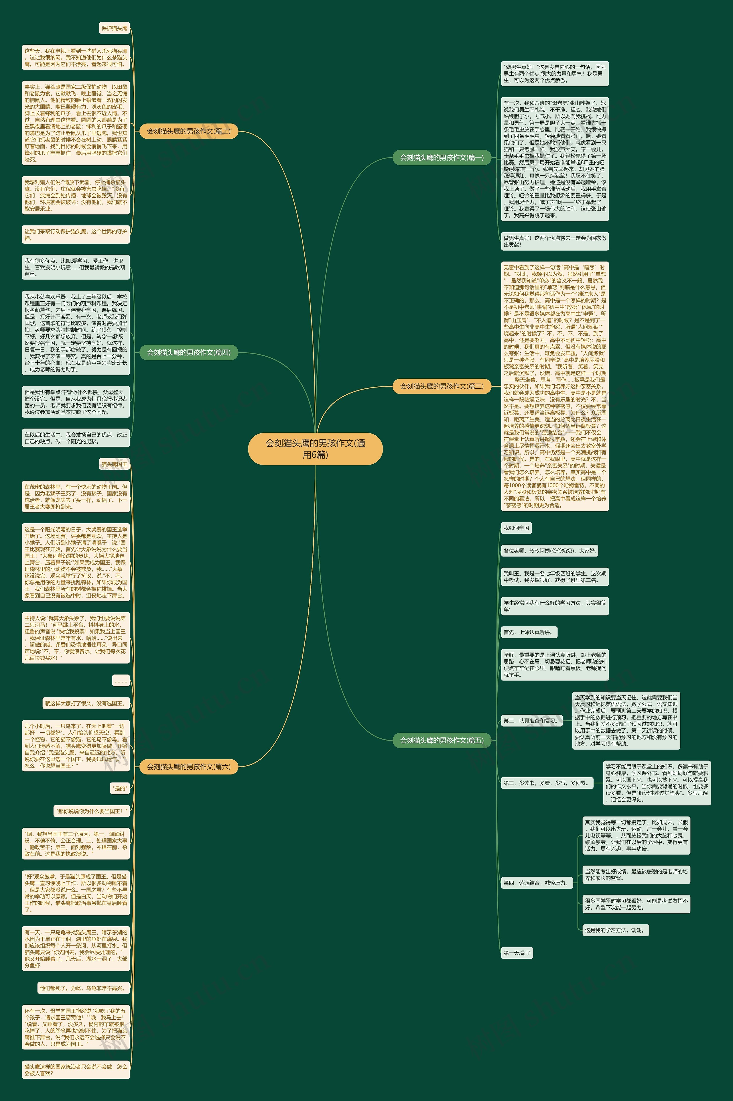 会刻猫头鹰的男孩作文(通用6篇)思维导图