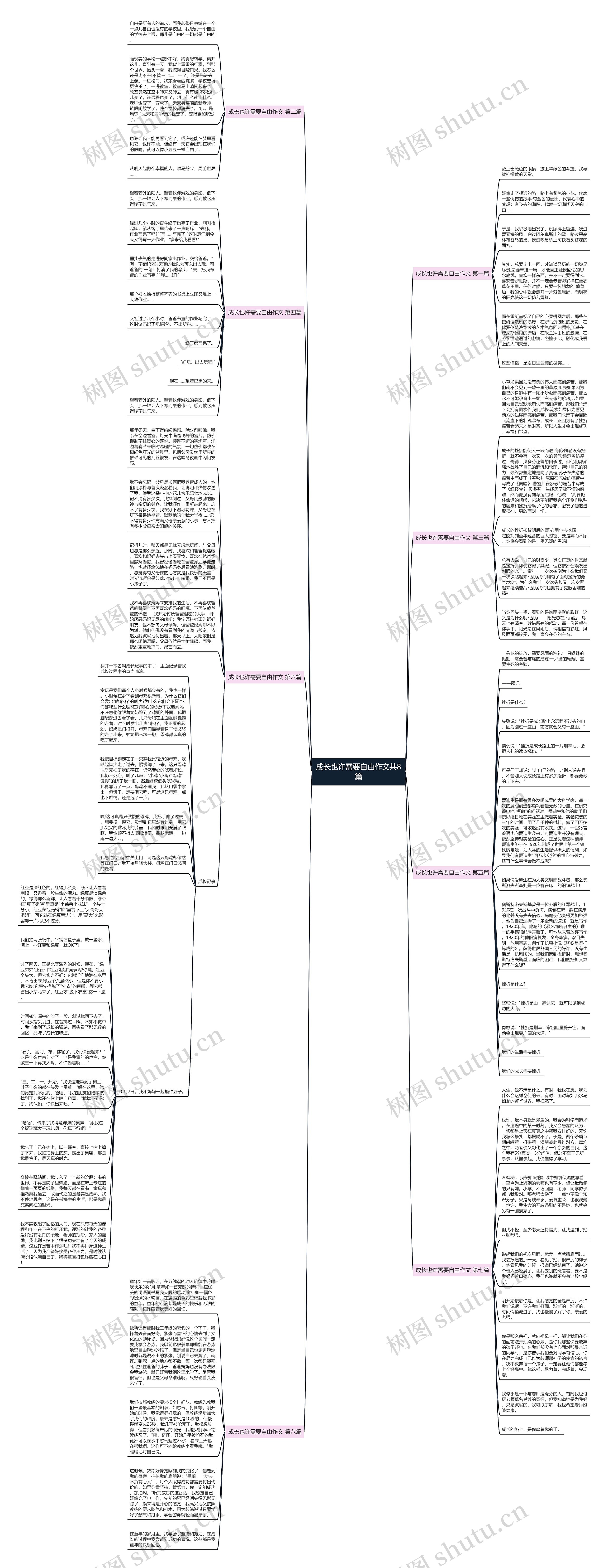 成长也许需要自由作文共8篇思维导图